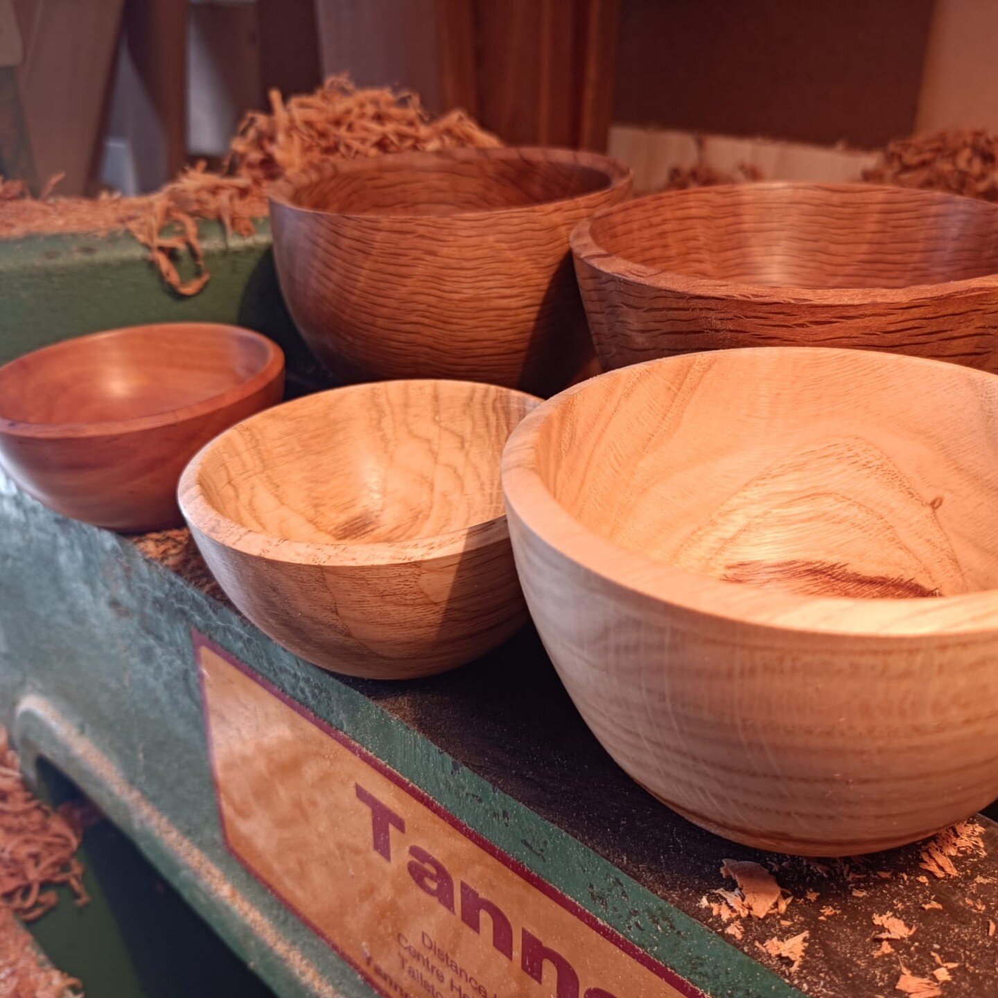 Little bowls, all in reclaimed timber. Holm oak, oak and plum. Made by our very own, Oliver