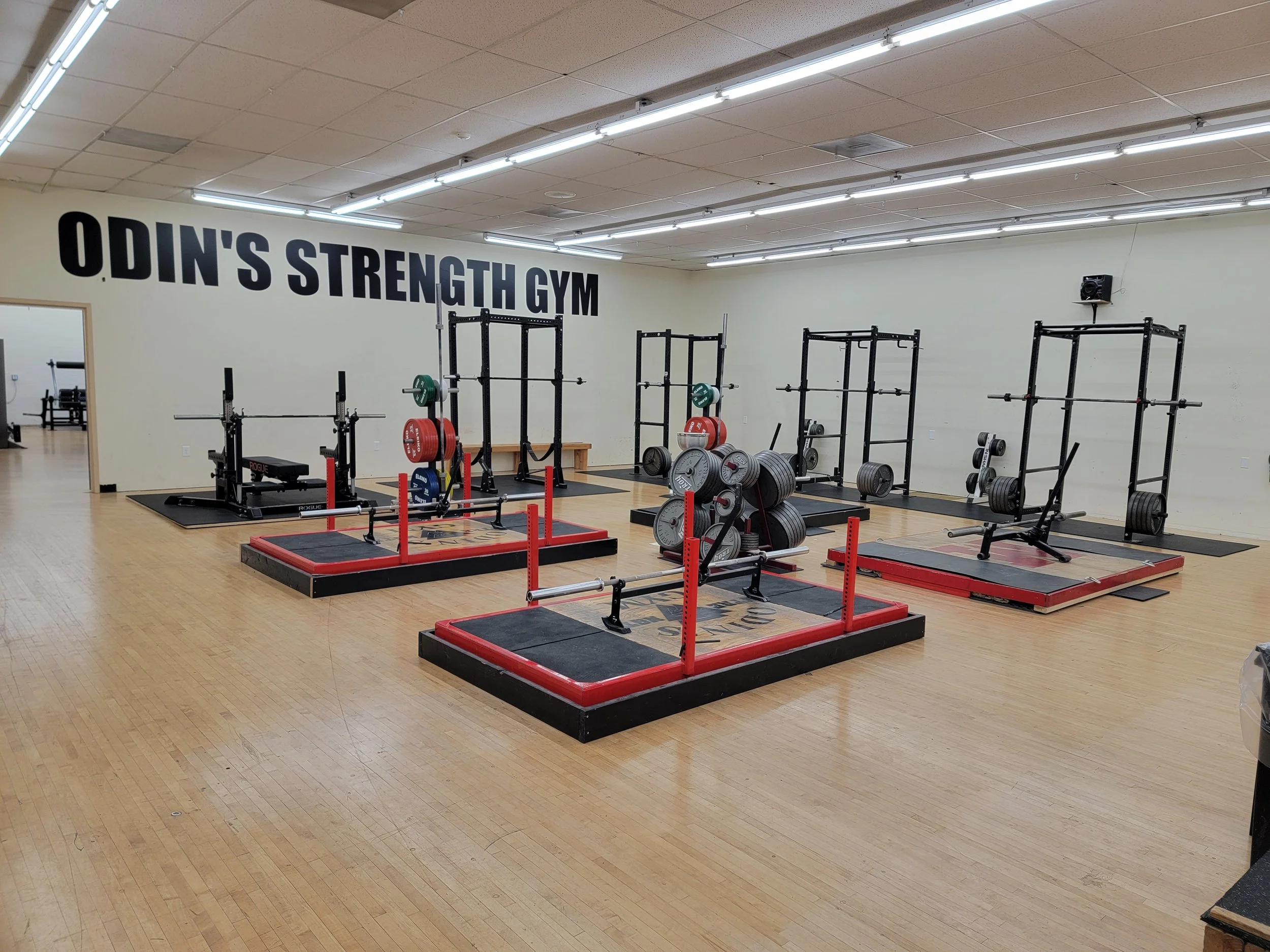 Equipment — Odin's Strength Gym