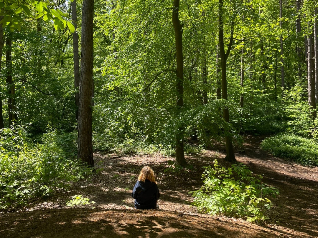 Morning Practice: Connect with Nature. Connect with Yourself. (in person, Tervuren,
