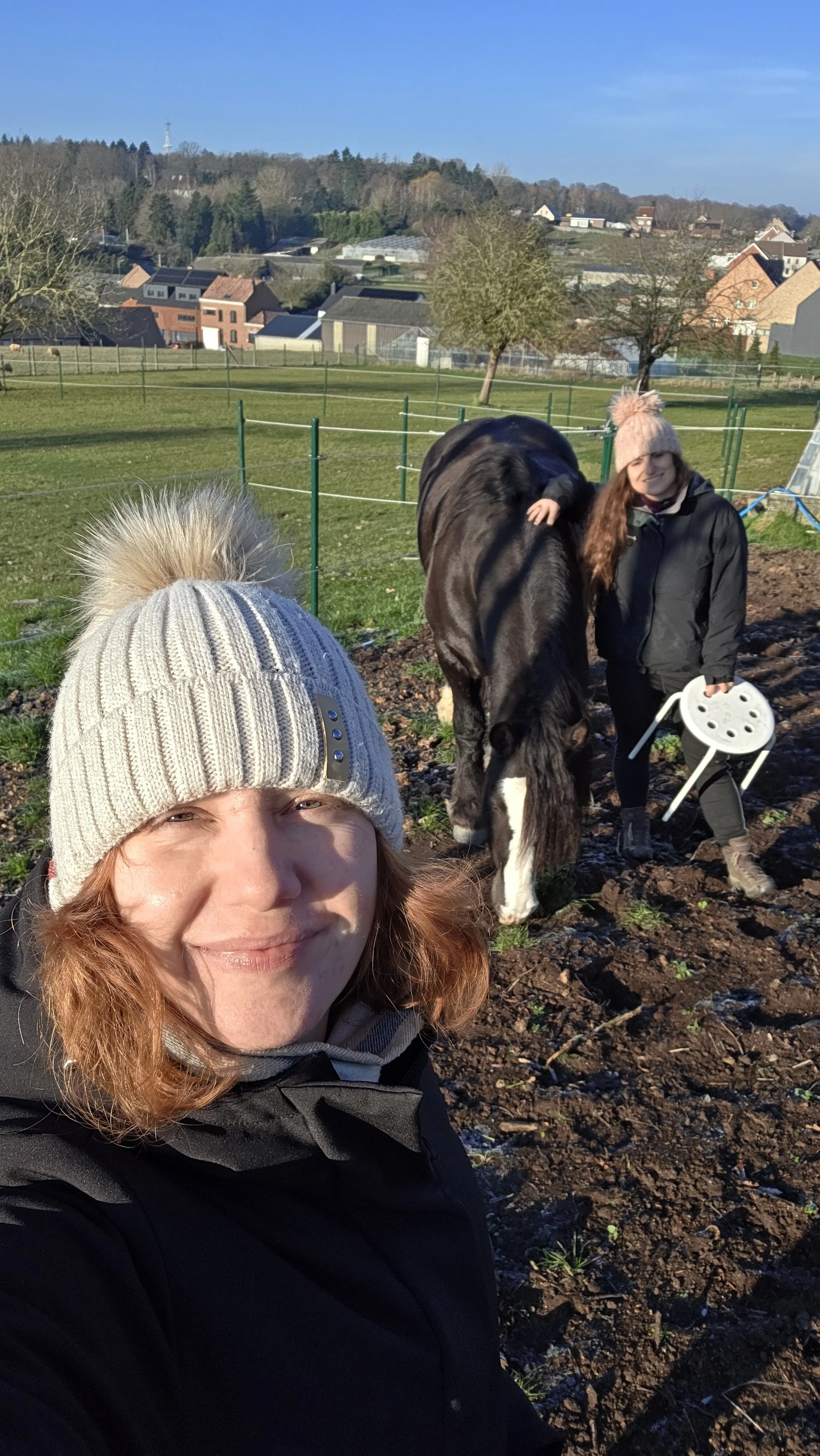 relaxation with horses and reiki in overijse, belgium with Wera well-being coach and reiki holistic healing practitioner
