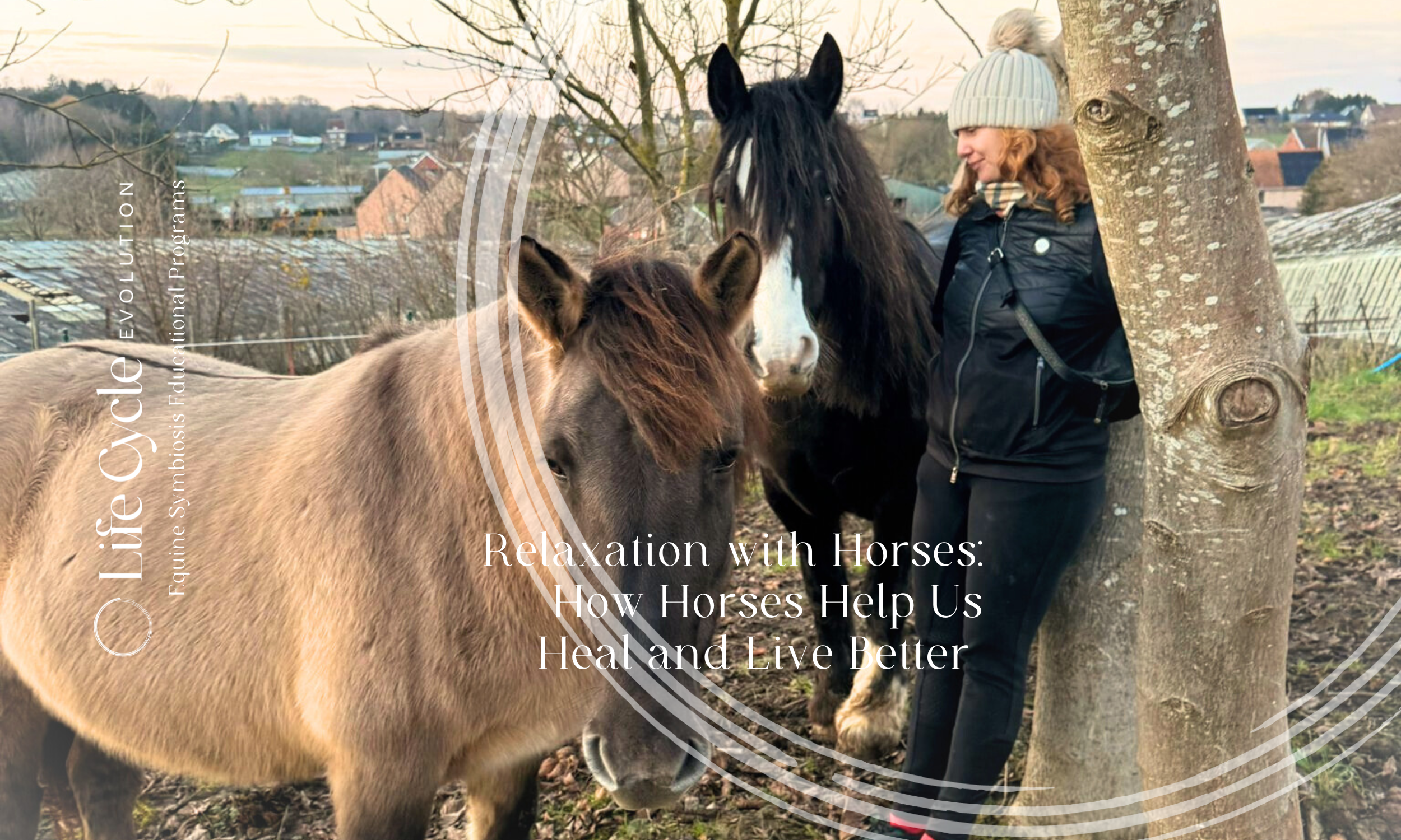 group relaxation with horses and meditation practice, overijse, Belgium, 2025