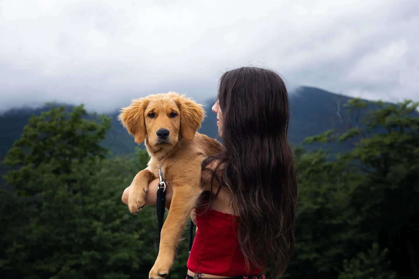 Mountain boi 🦮🗻
.
.
.
.
.

#LandscapePhotography
#NaturePhotography #ScenicViews #EarthOfficial #NatureLovers #NaturePerfection #OurPlanetDaily #ExploreTheWorld #NatureBrilliance #EarthFocus #petphotography 
#OutdoorPhotographer #LandscapeLovers #N
