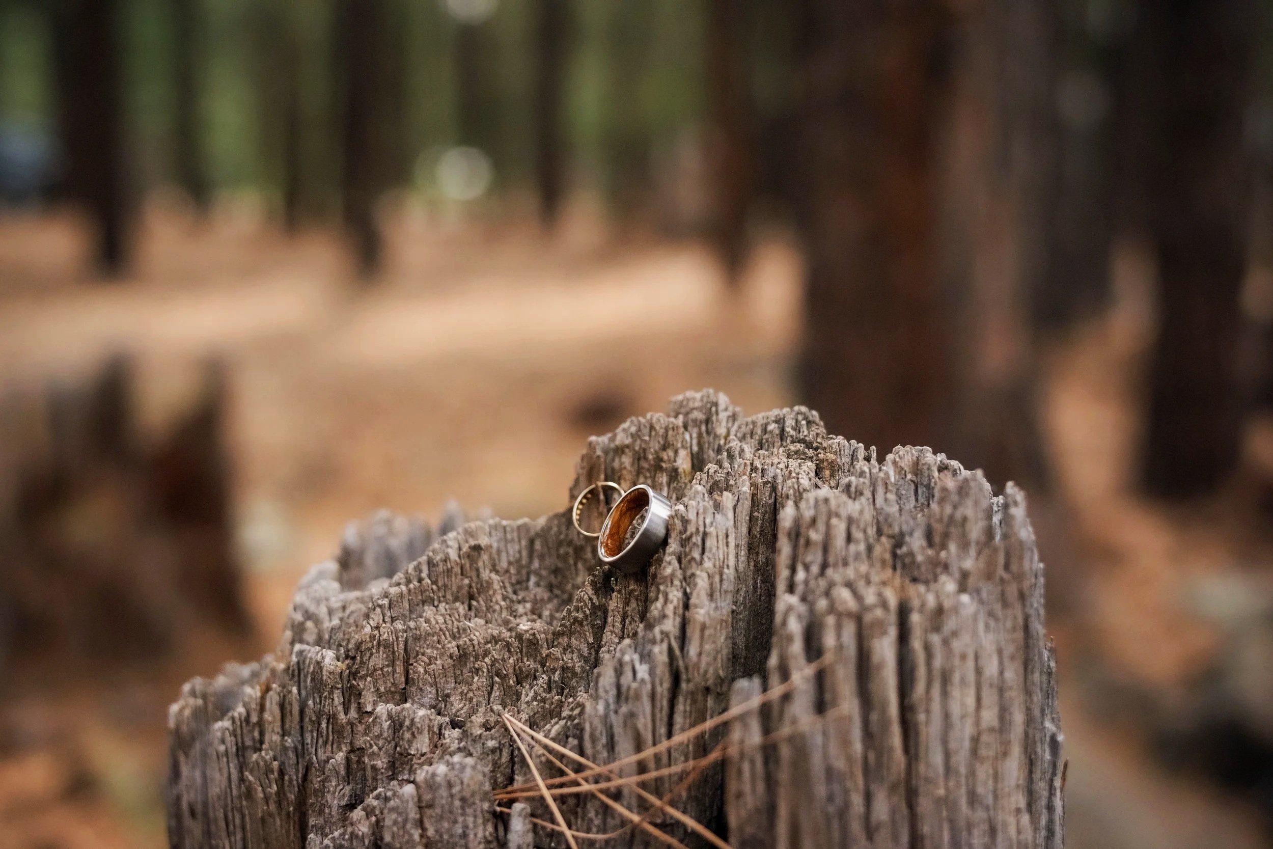 My 2025 Annual Review