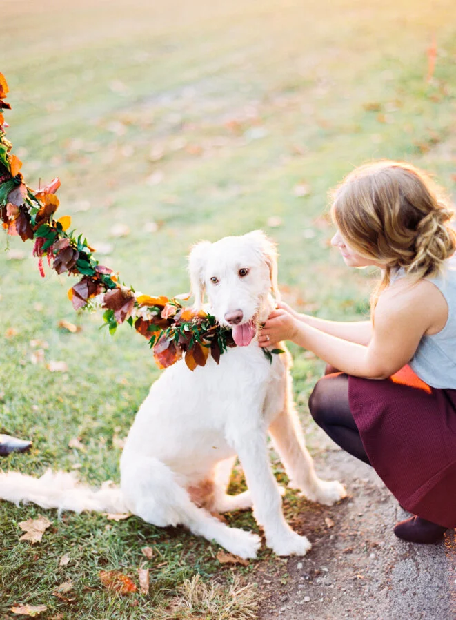 Jordan Brittley Photography