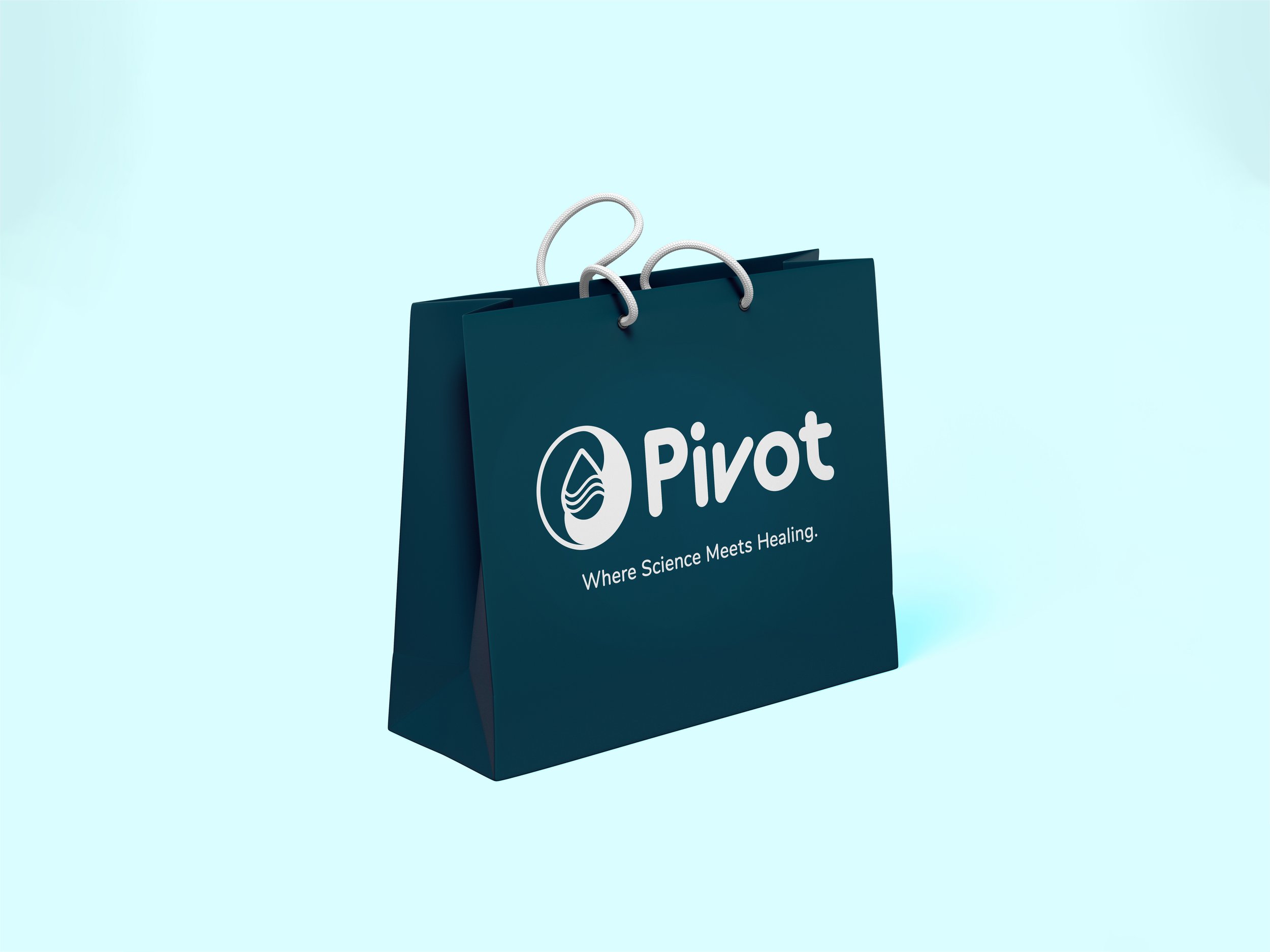 Pivot Bag-Mockup_3 (1).jpg