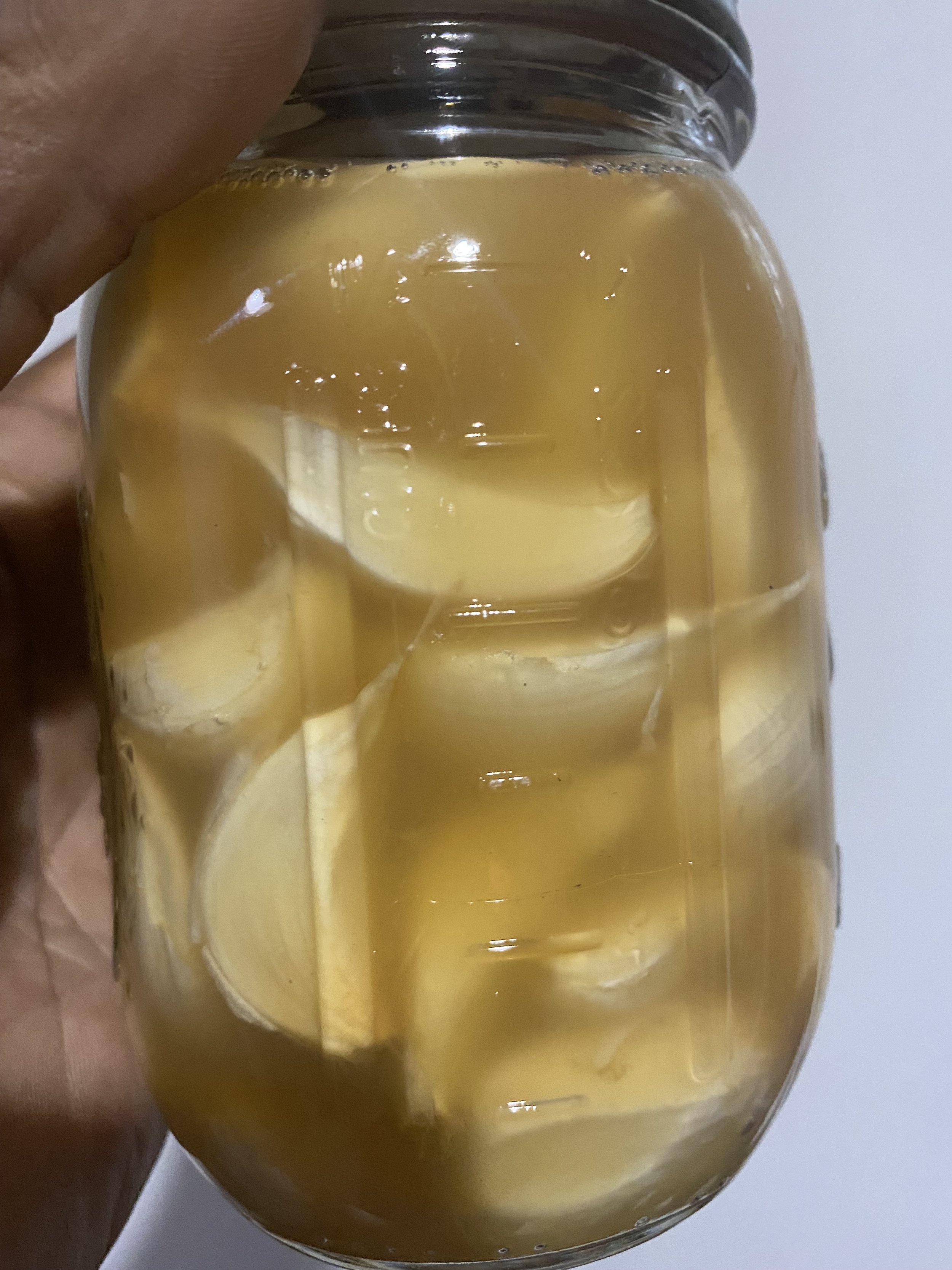 Pickling 101 — Wholemax Performance