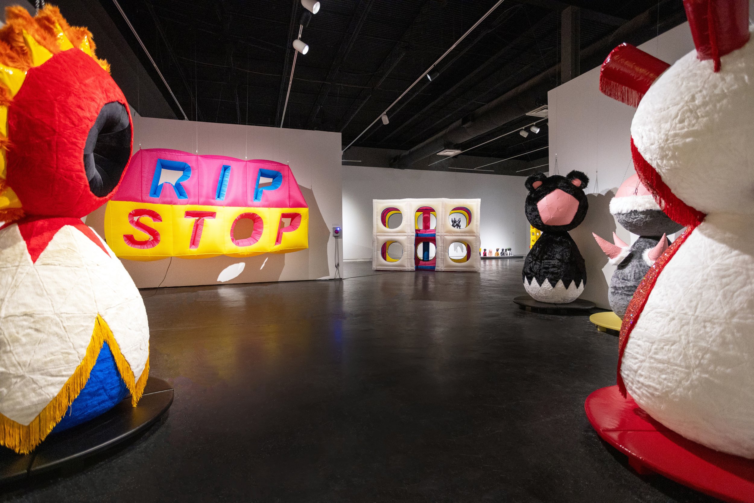 Ripstop_1web.jpg