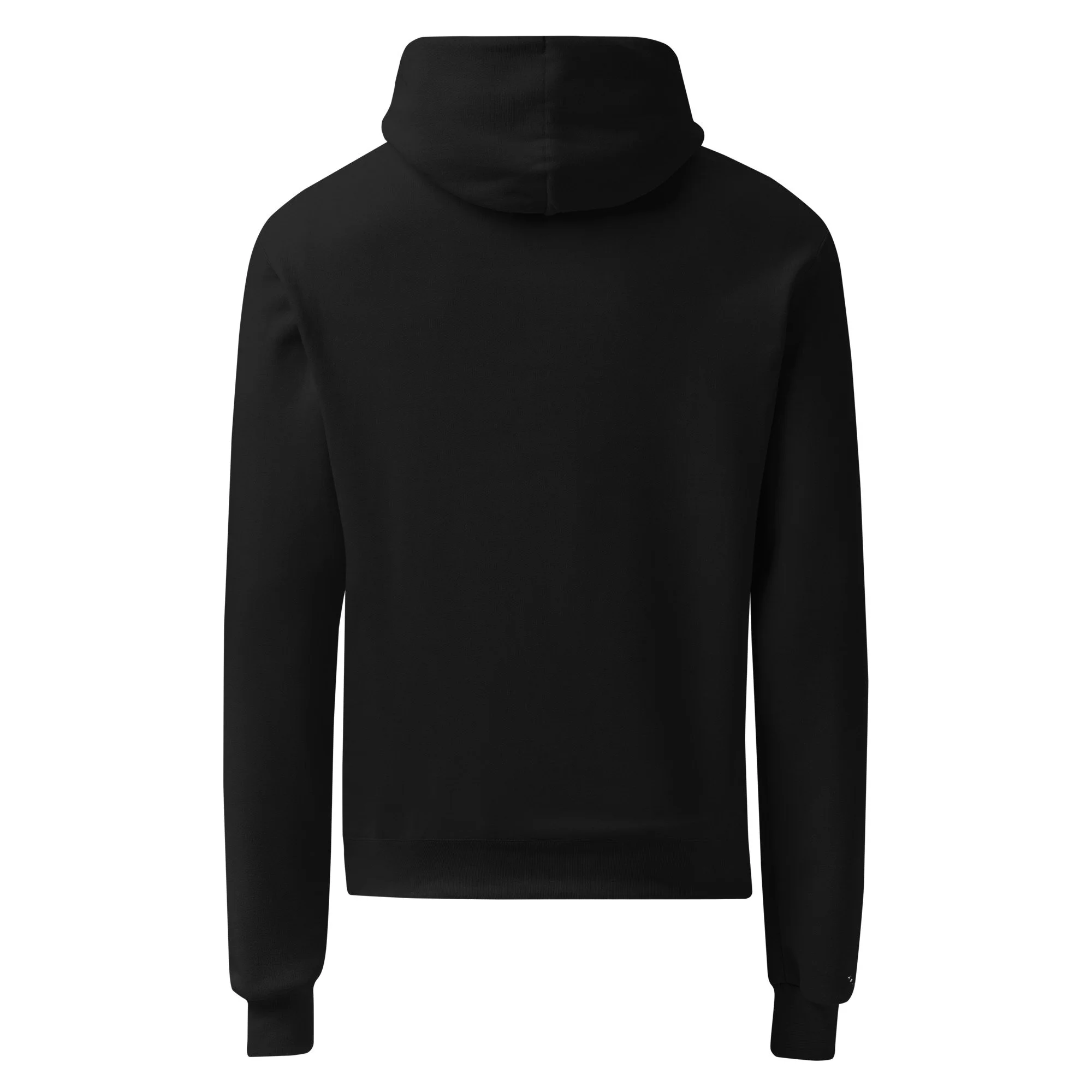 unisex-champion-hoodie-black-back-6945a0825a560.jpg