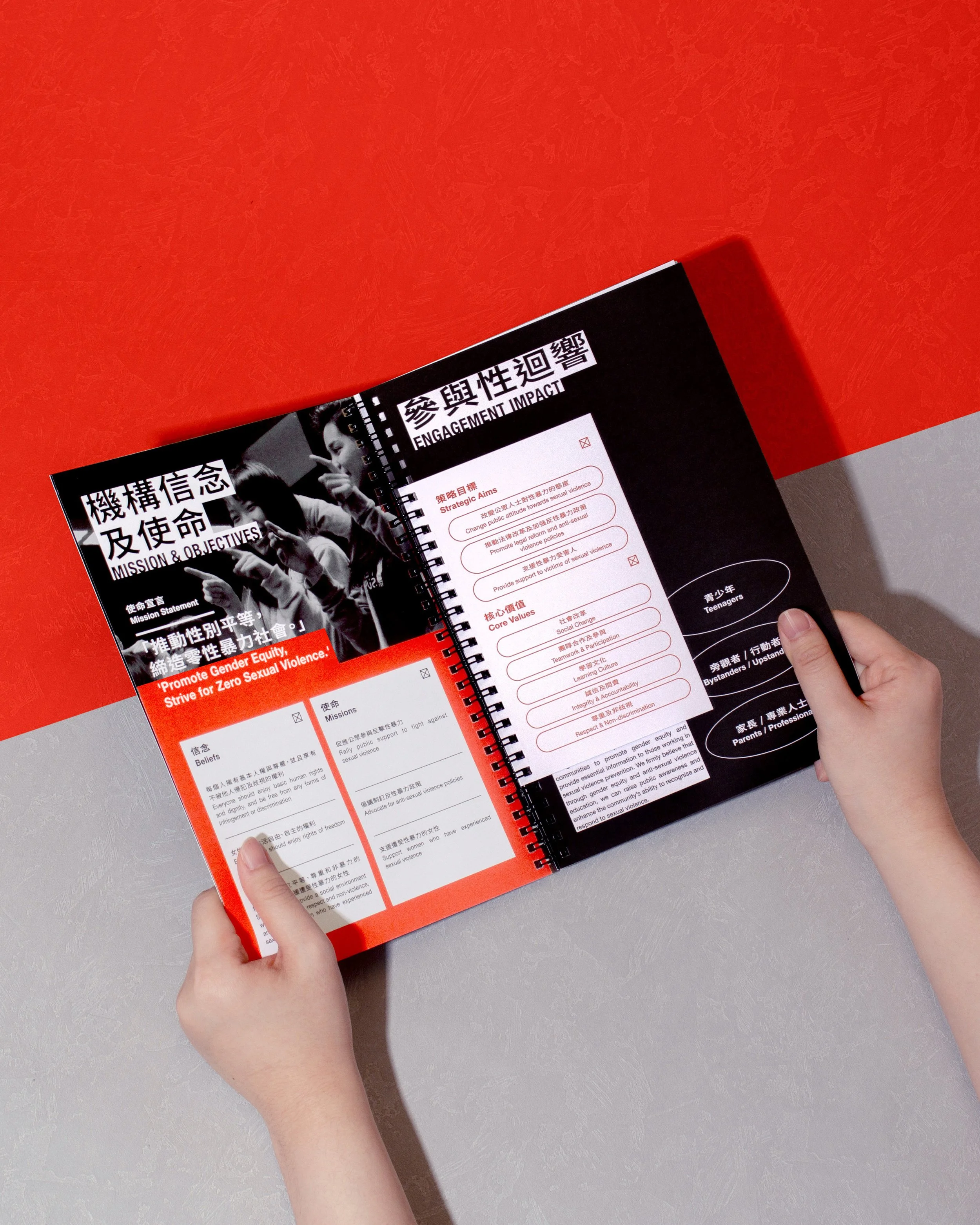 ACSVAW Impact Report 2024-2025