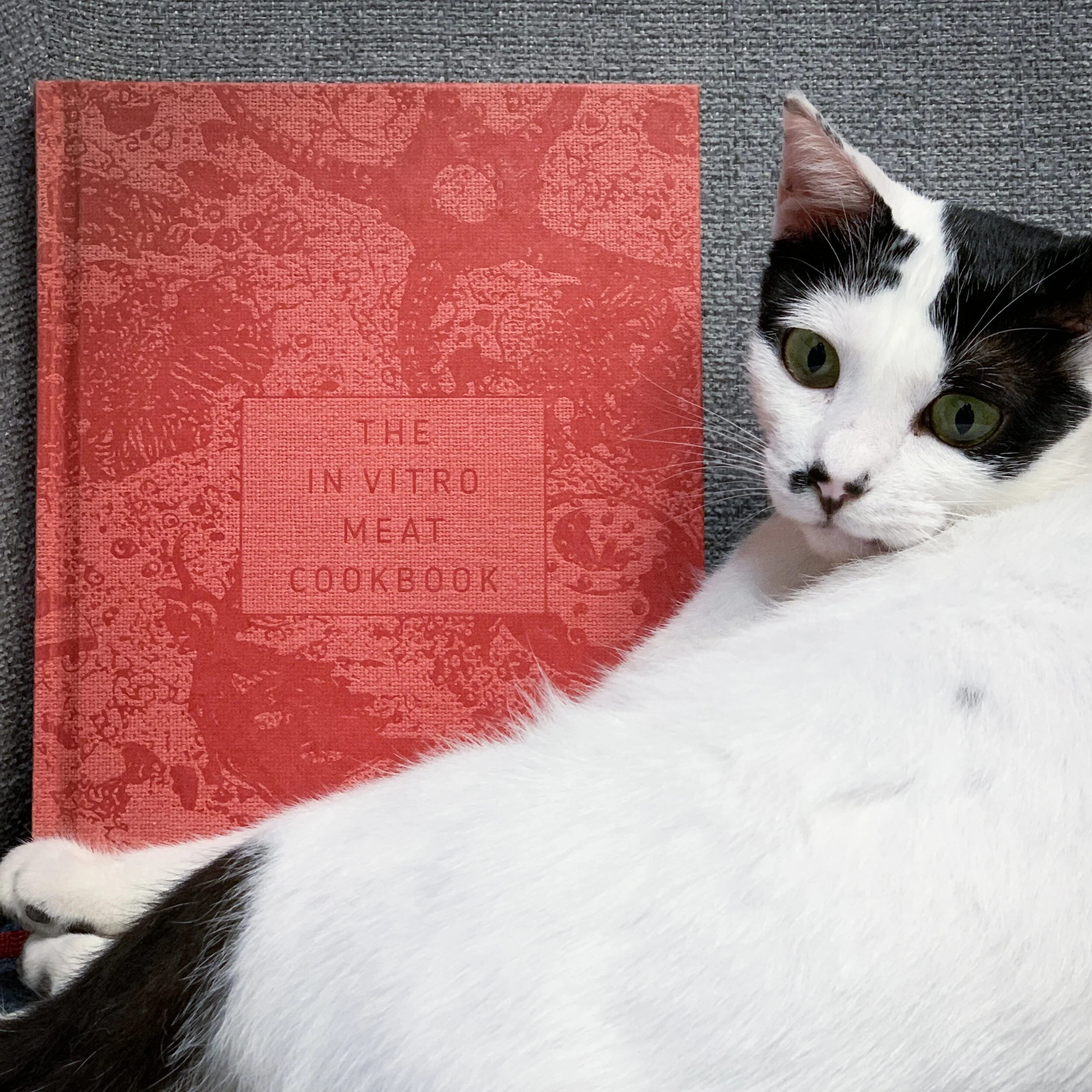 PMQ 元創方 | Jun 2020 