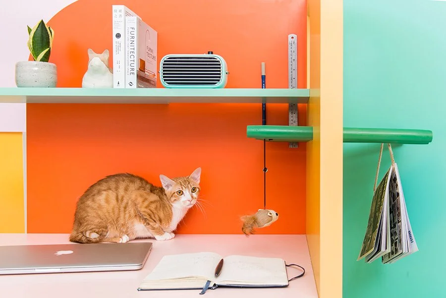 Happy Distraction - Pets friendly Furniture Design