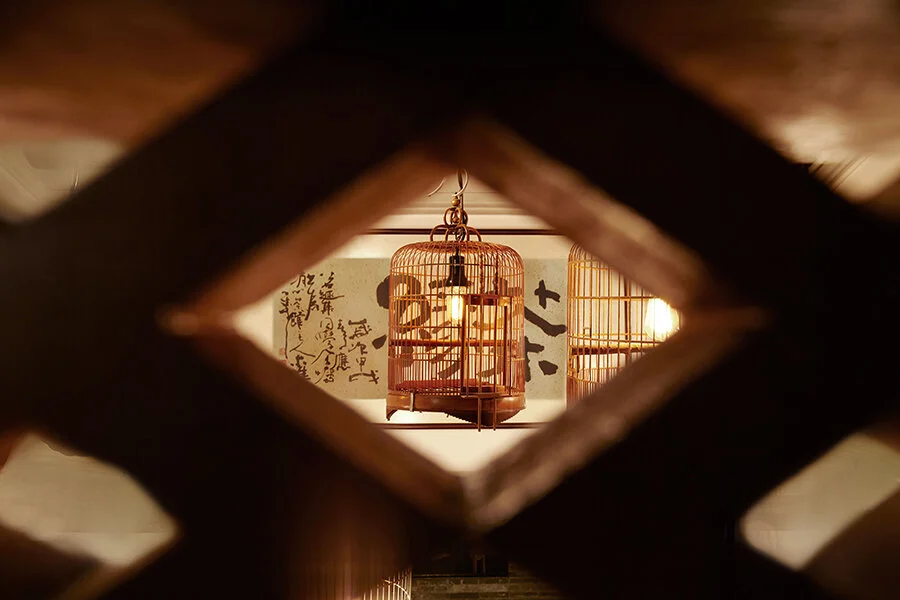 Hello, Miss Belated Winter.