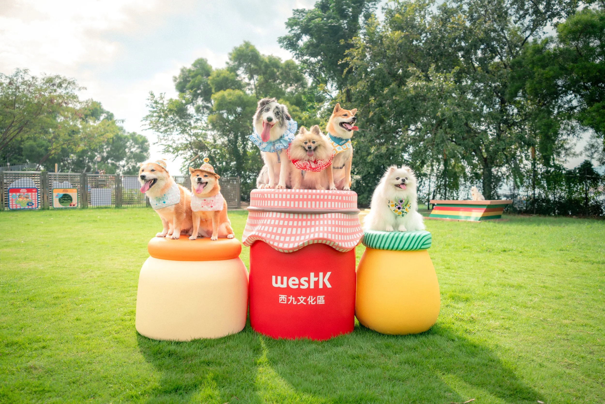 WKCDA_WestK Pet Club_1.jpg