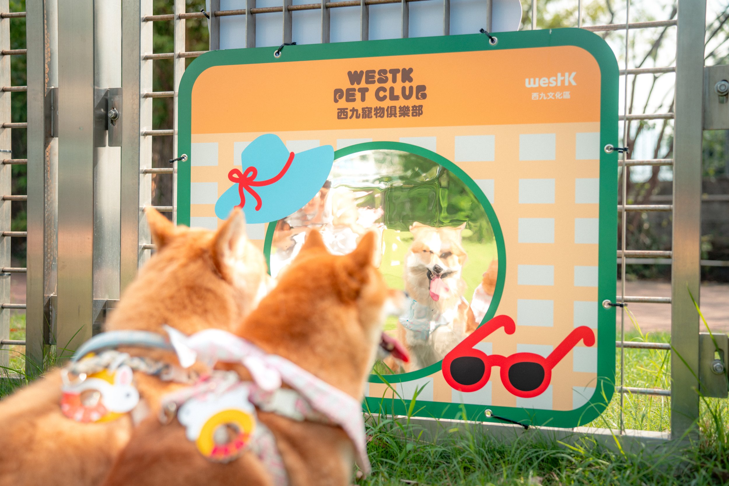 WKCDA_WestK Pet Club_4.jpg