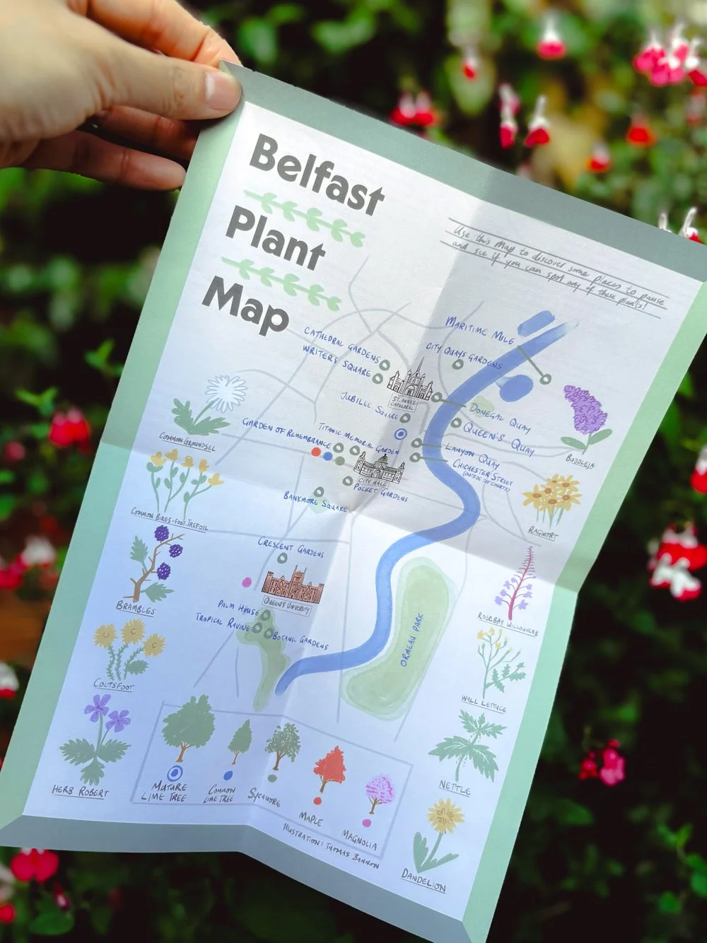 Belfast Community Plant Library Zine_07-2.jpg