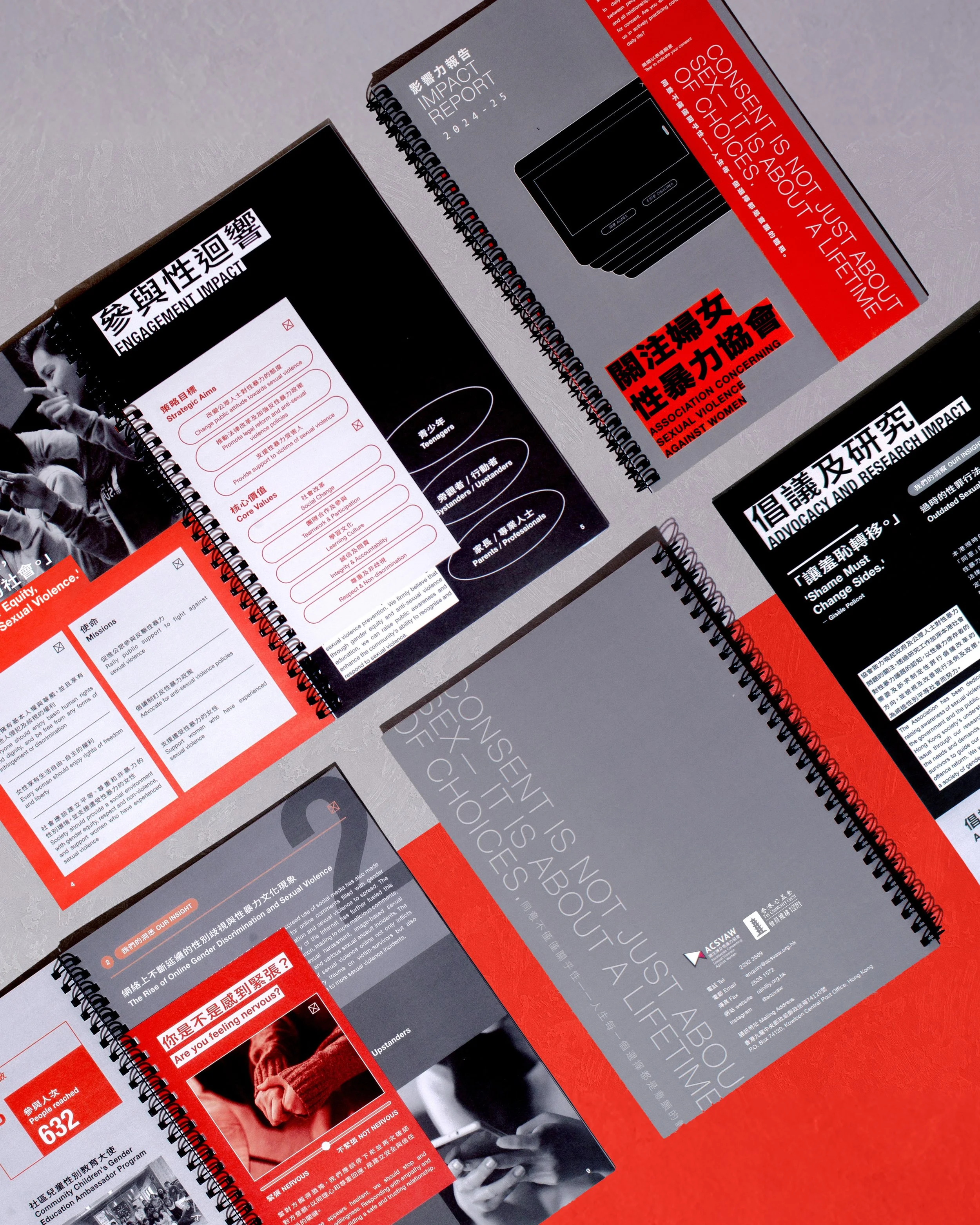 ACSVAW Impact Report 2024-2025