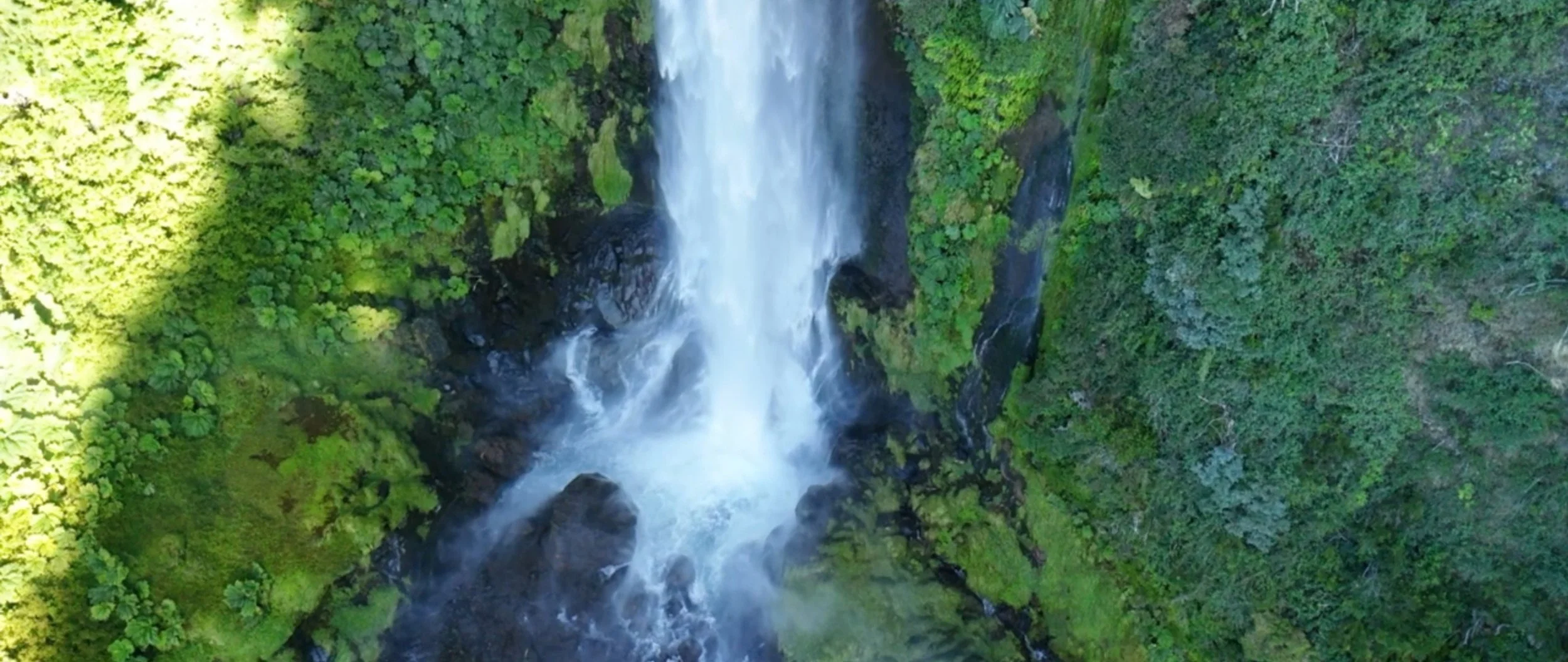 Website header image.jpg