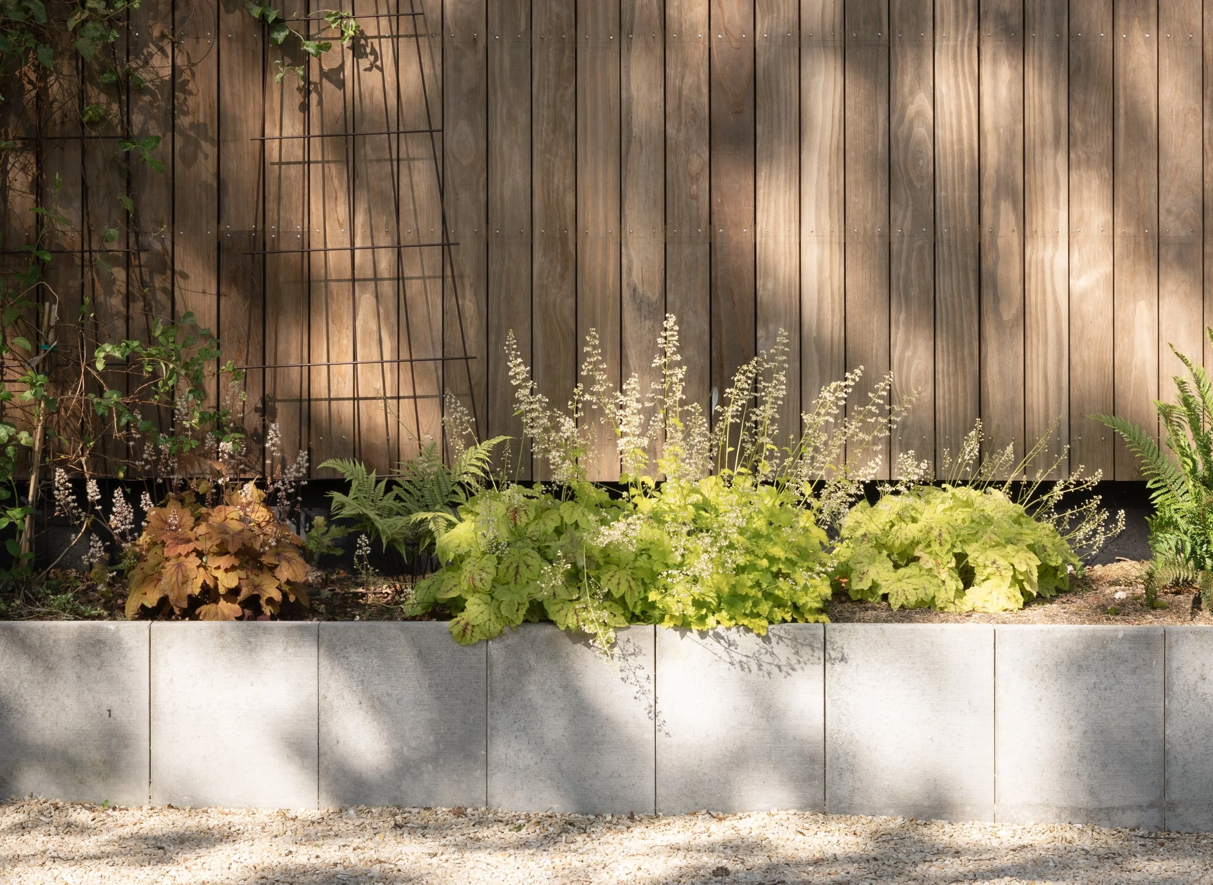 Bois-le-Roi Residence_Lowres-3.jpg