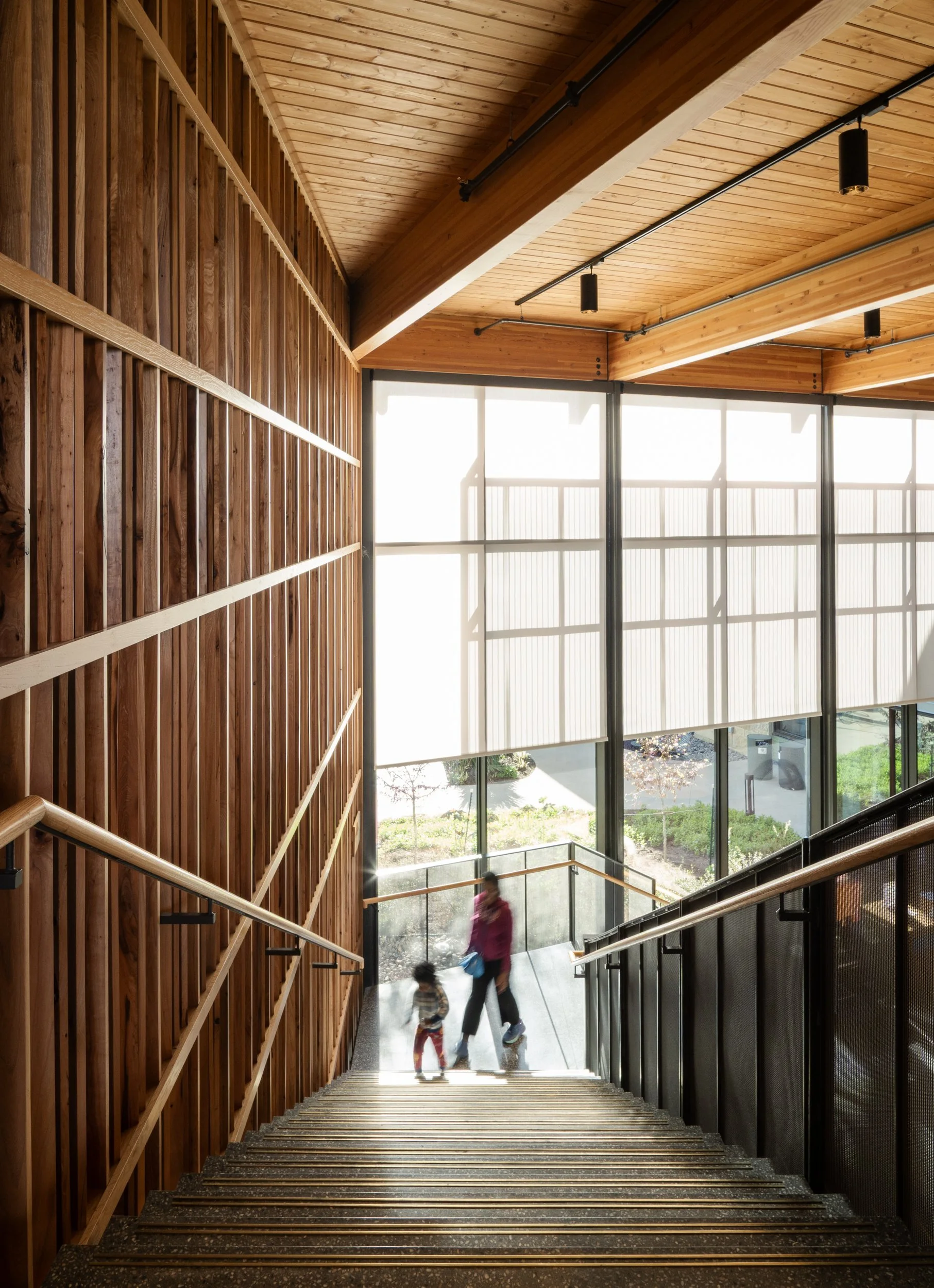 Cedar Park Library_Kristian Alveo_Lowres-6.jpg