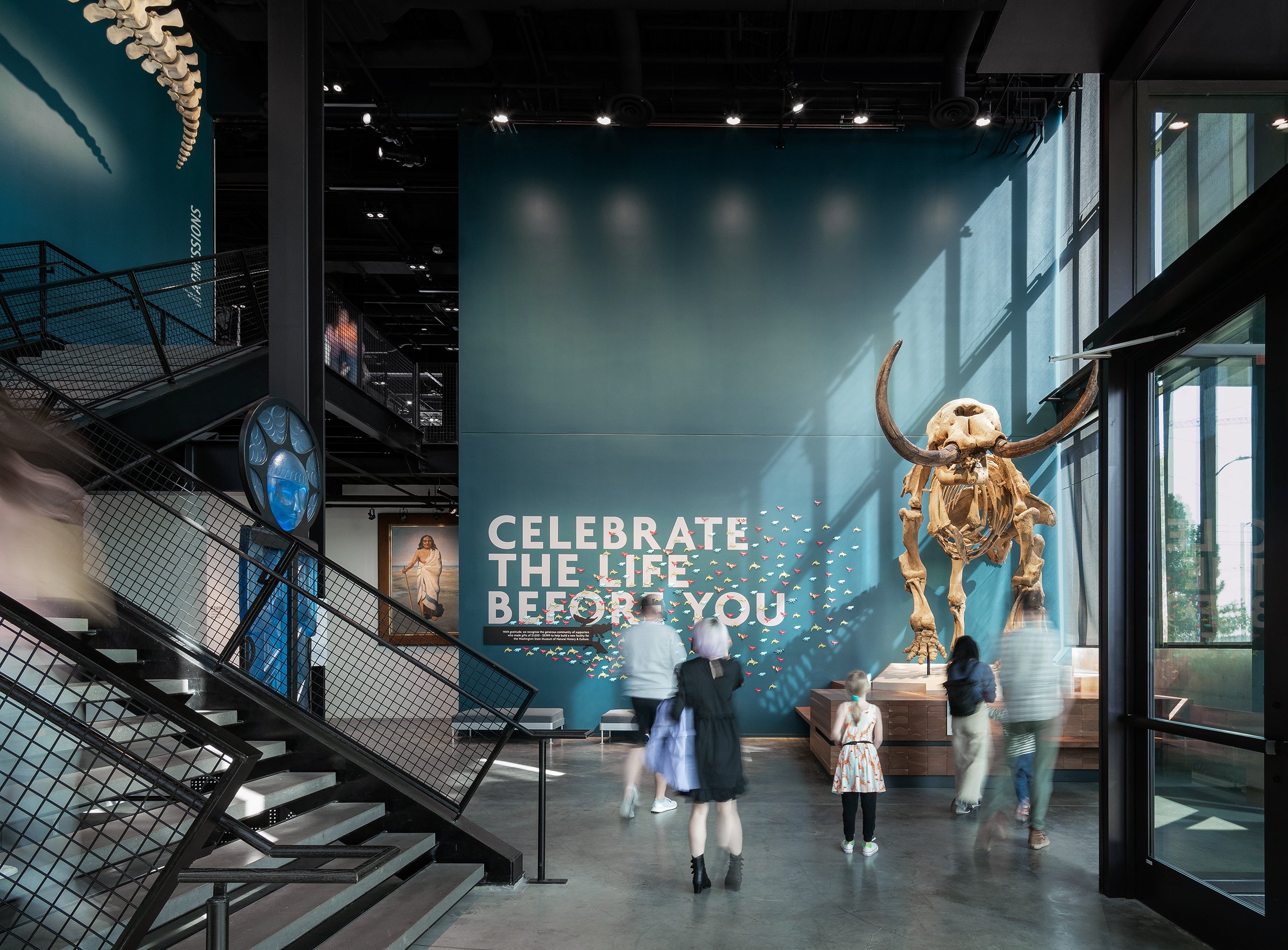 Kris_Kebony_Burke Museum_Kristian Alveo_hires-2.jpg