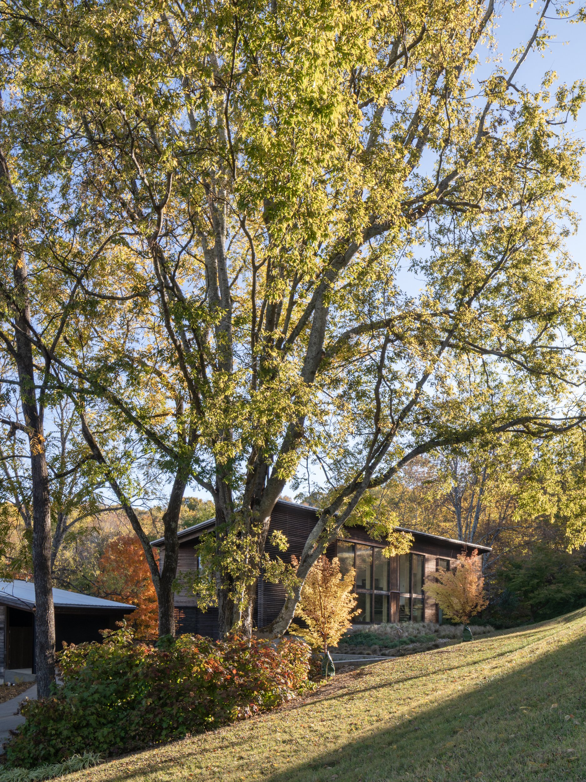 Woodscreen house_Kristian Alveo-42.jpg