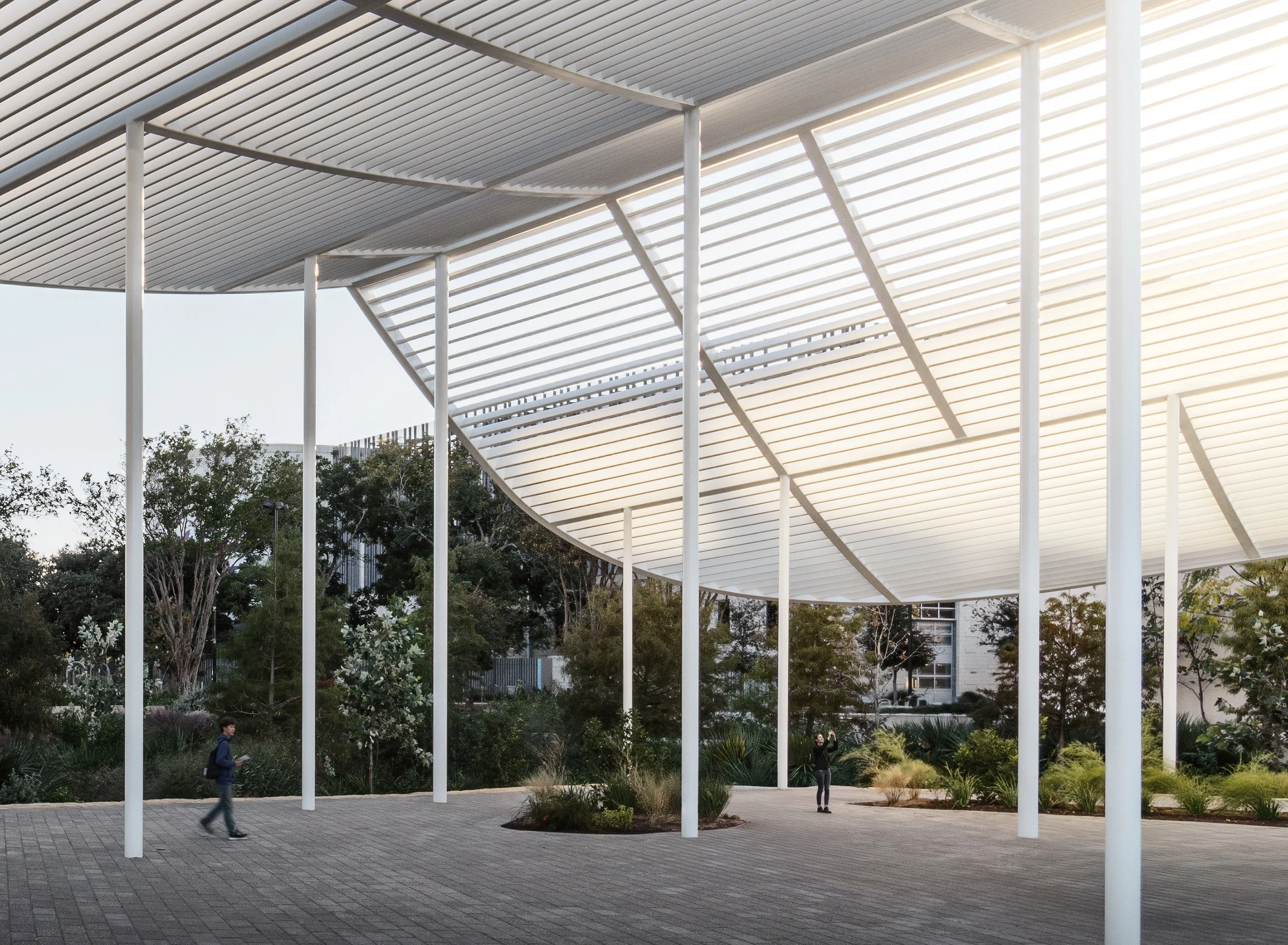 St. Johns_Kristian Alveo_lowres-3.jpg