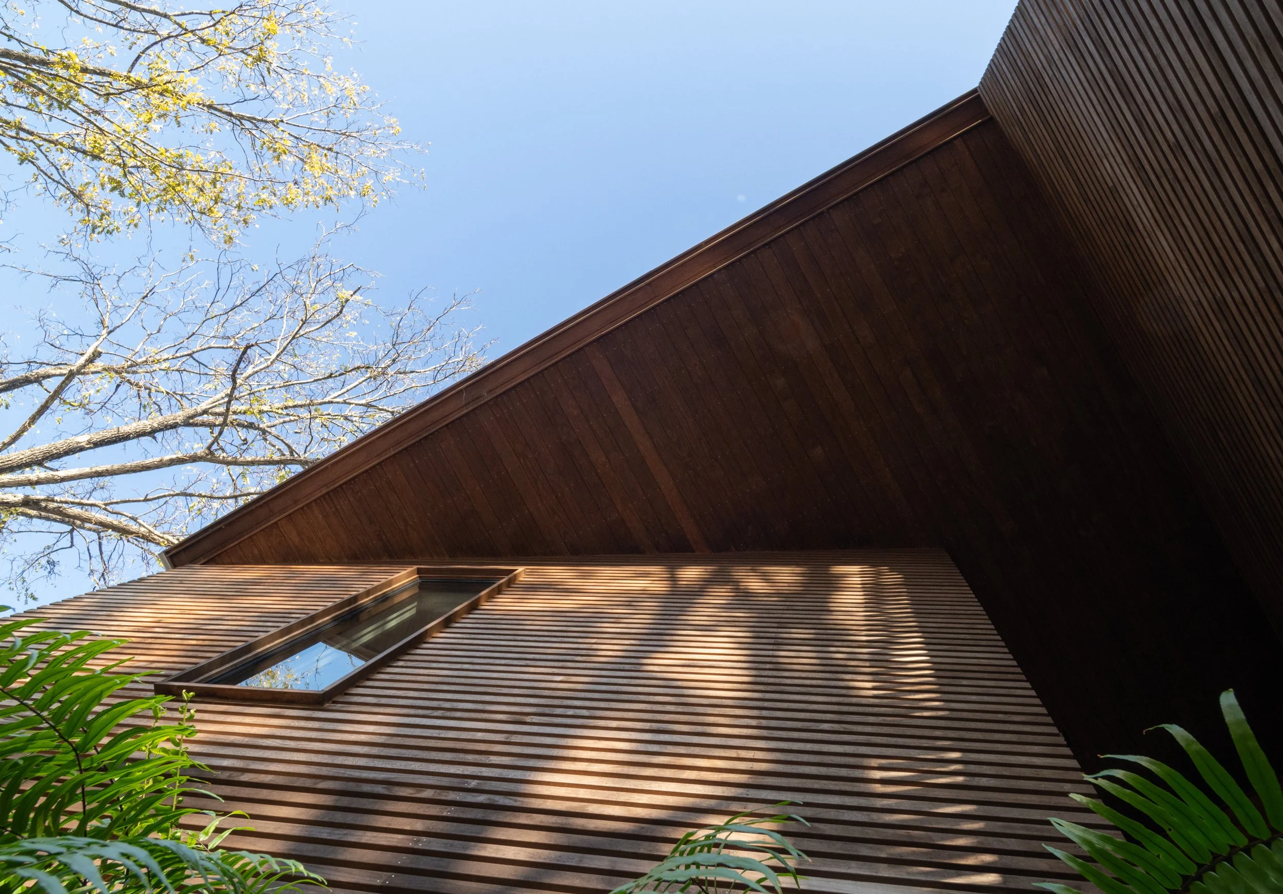 Screenhouse 2026-58.jpg