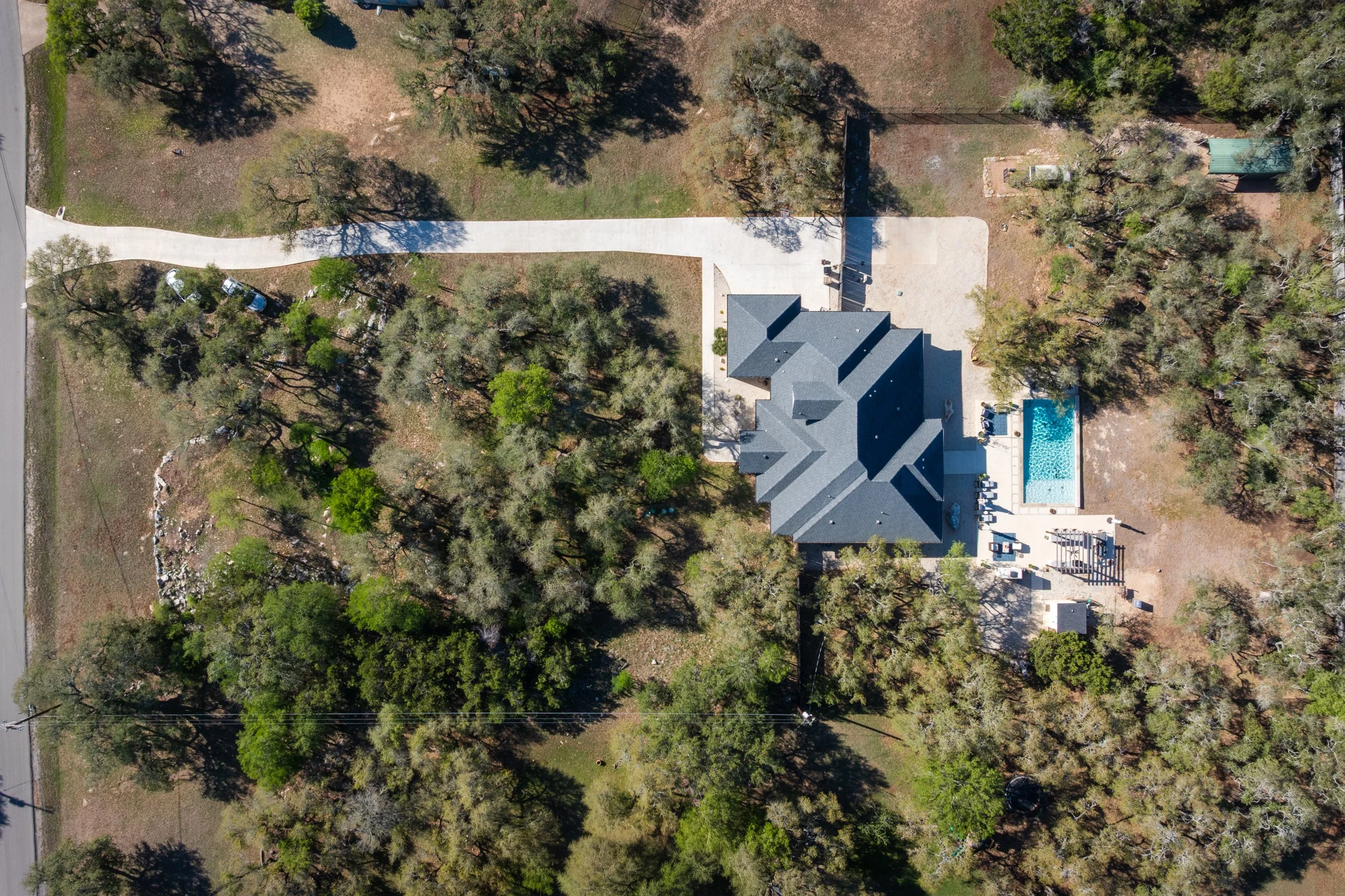 Mourning Dove New-15.jpg