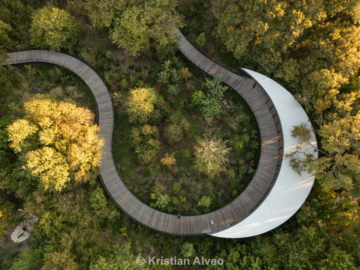 Springdale Green Proofs-11.jpg