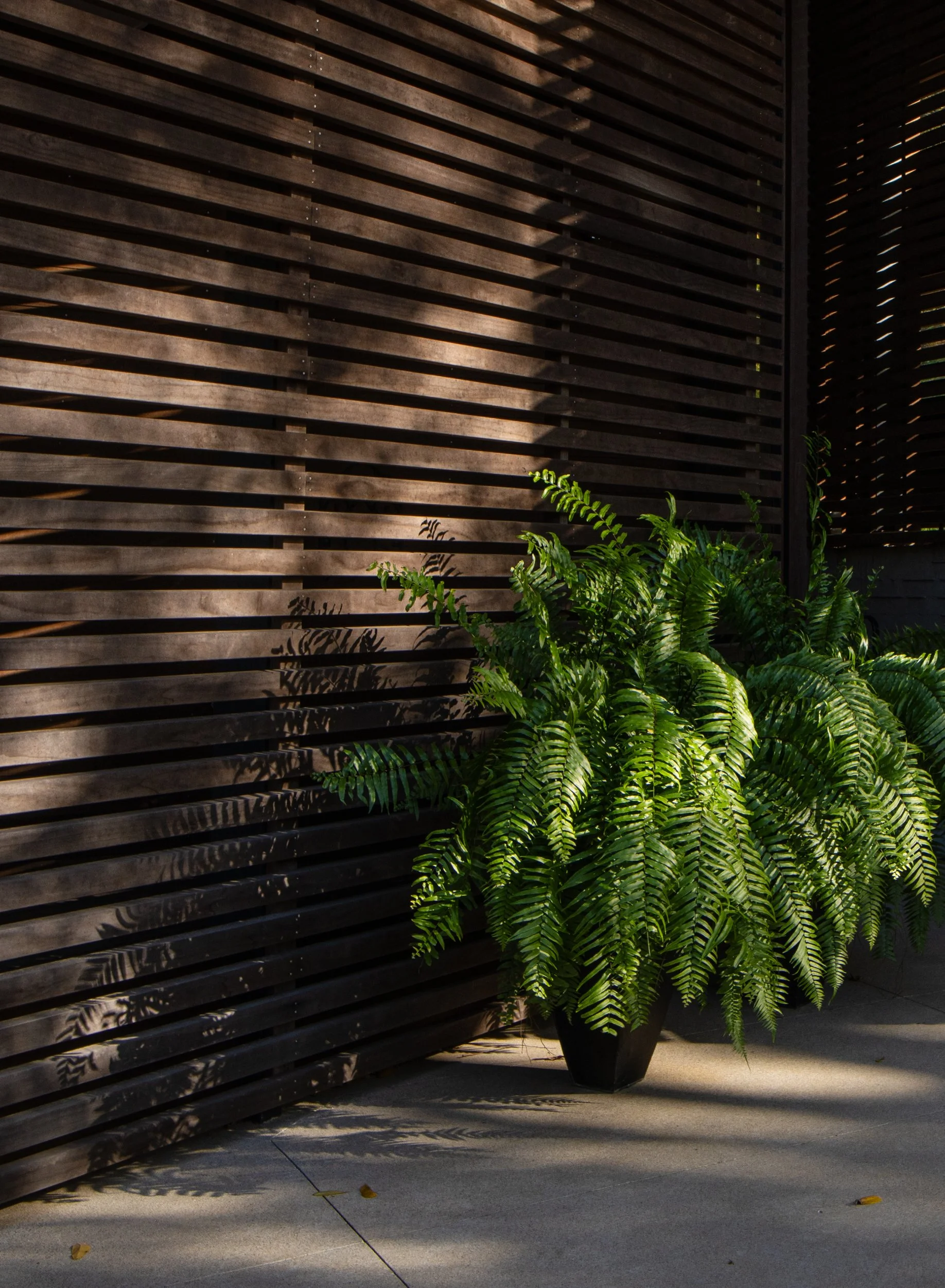 Screenhouse 2026-55.jpg