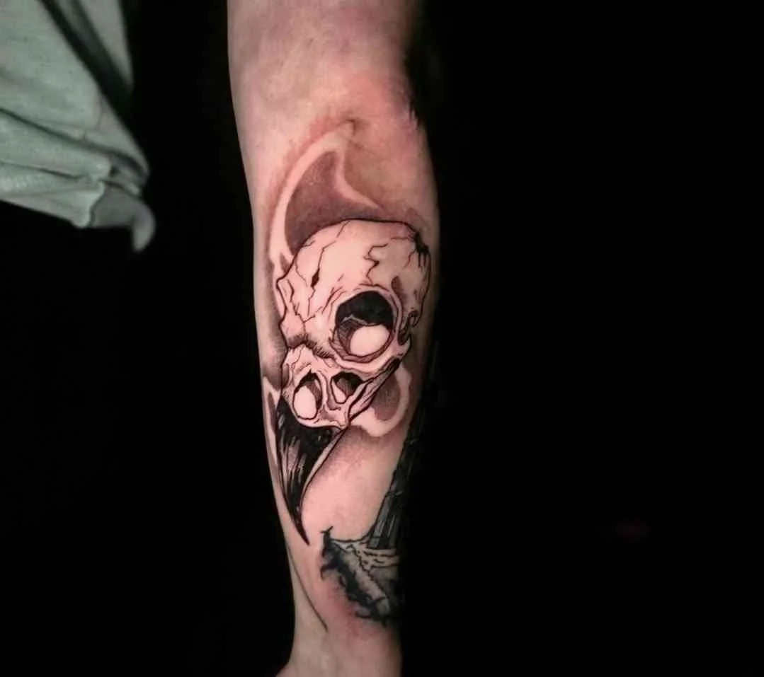 crowskull.jpg
