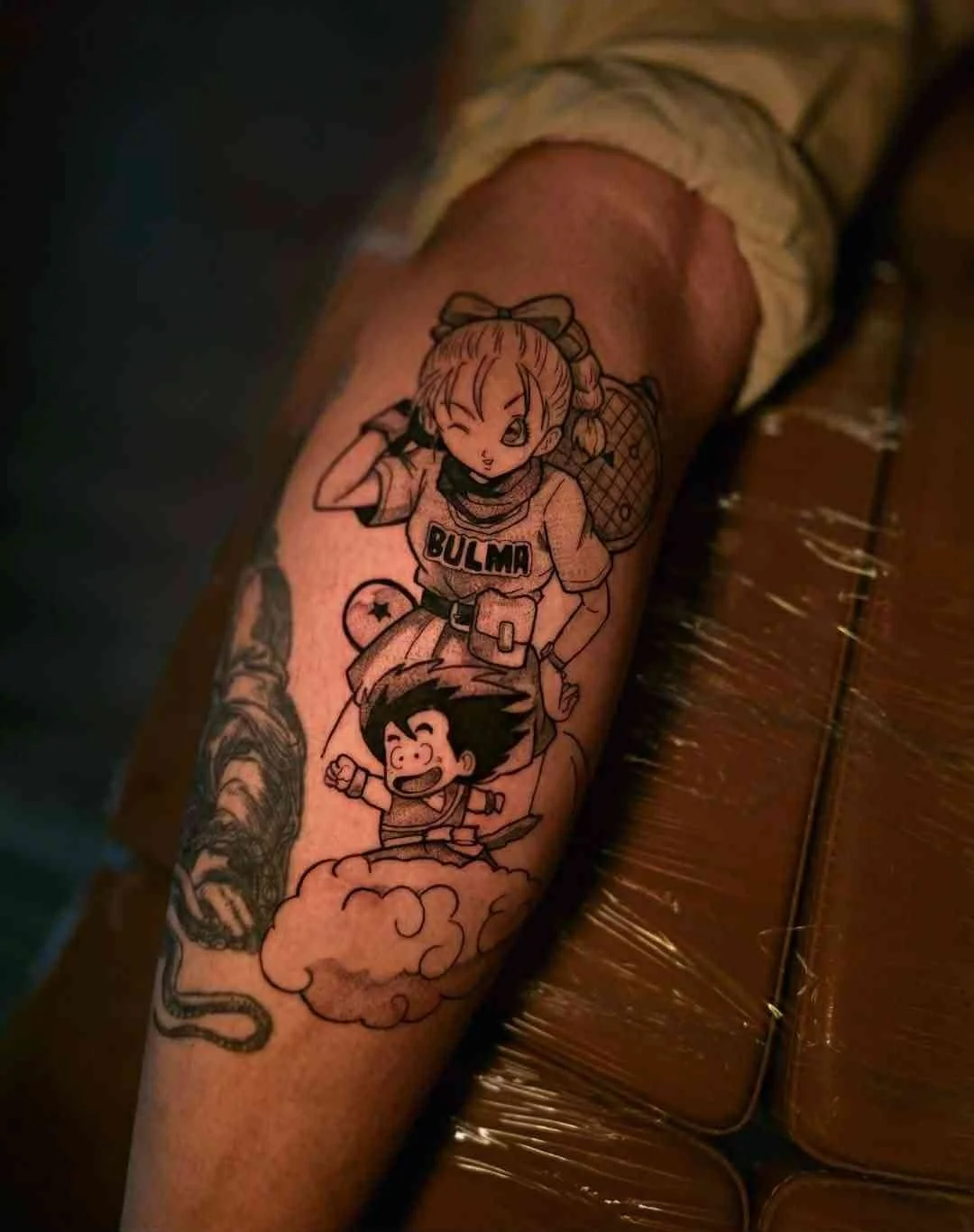 dbz.jpg