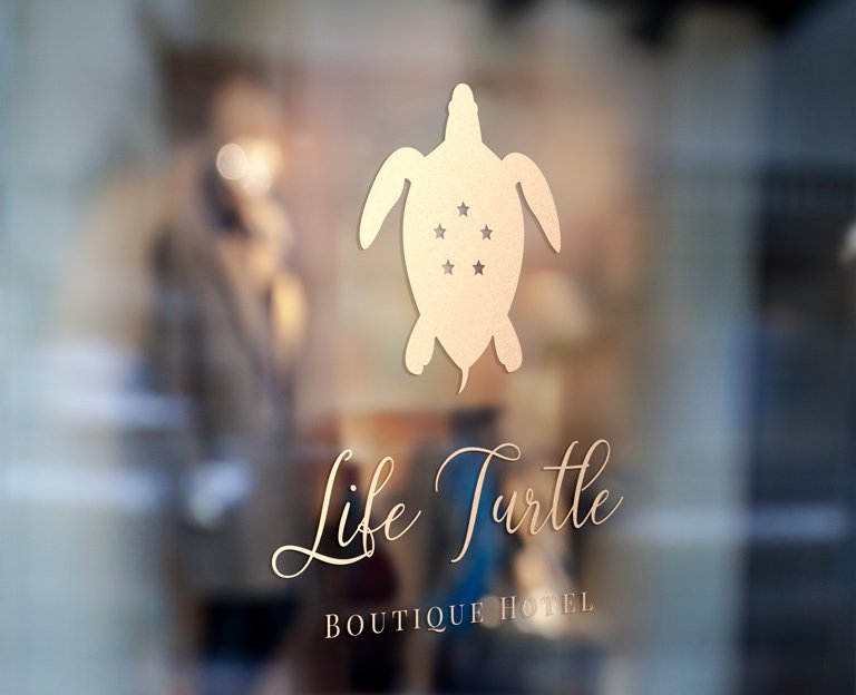 lifeturtle.jpeg