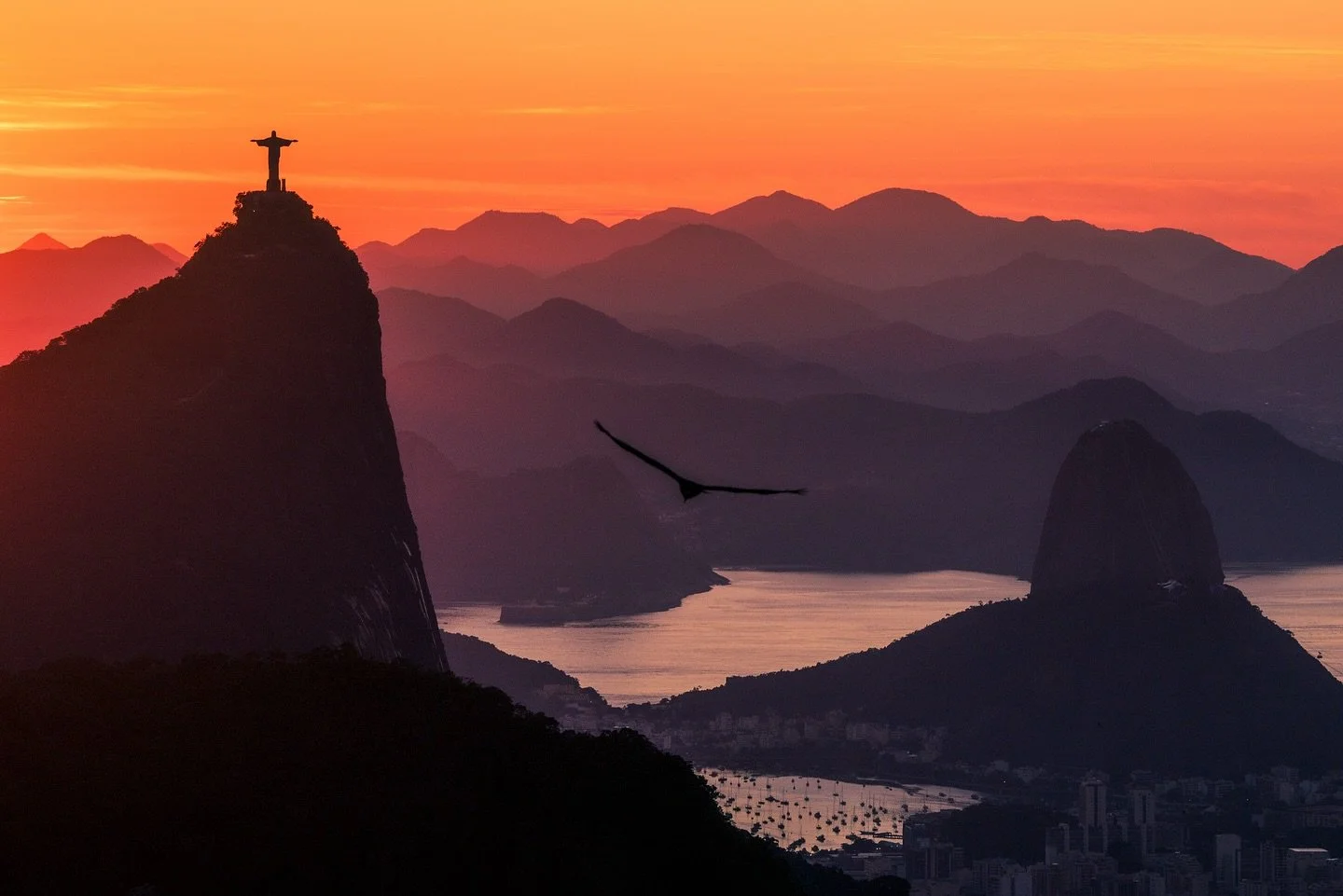 Resultados da minha &uacute;ltima incurs&atilde;o na floresta da Tijuca.
O Rio tem dessas coisas... voc&ecirc; entra na floresta sem deixar a cidade... 😉😍

#decora&ccedil;&atilde;o #riodejaneiro #sunrise #christ #vejario