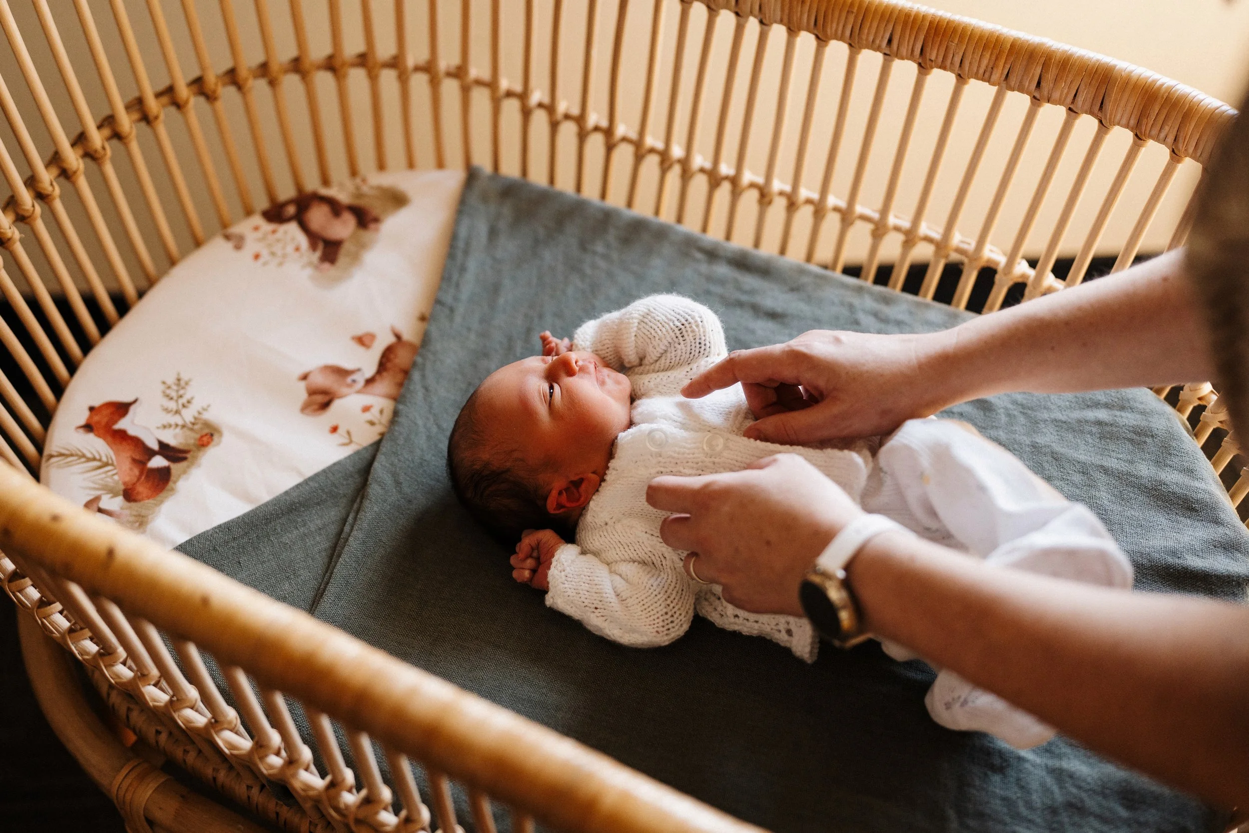A baby lying in a crib being gently touched by an adult's hands.