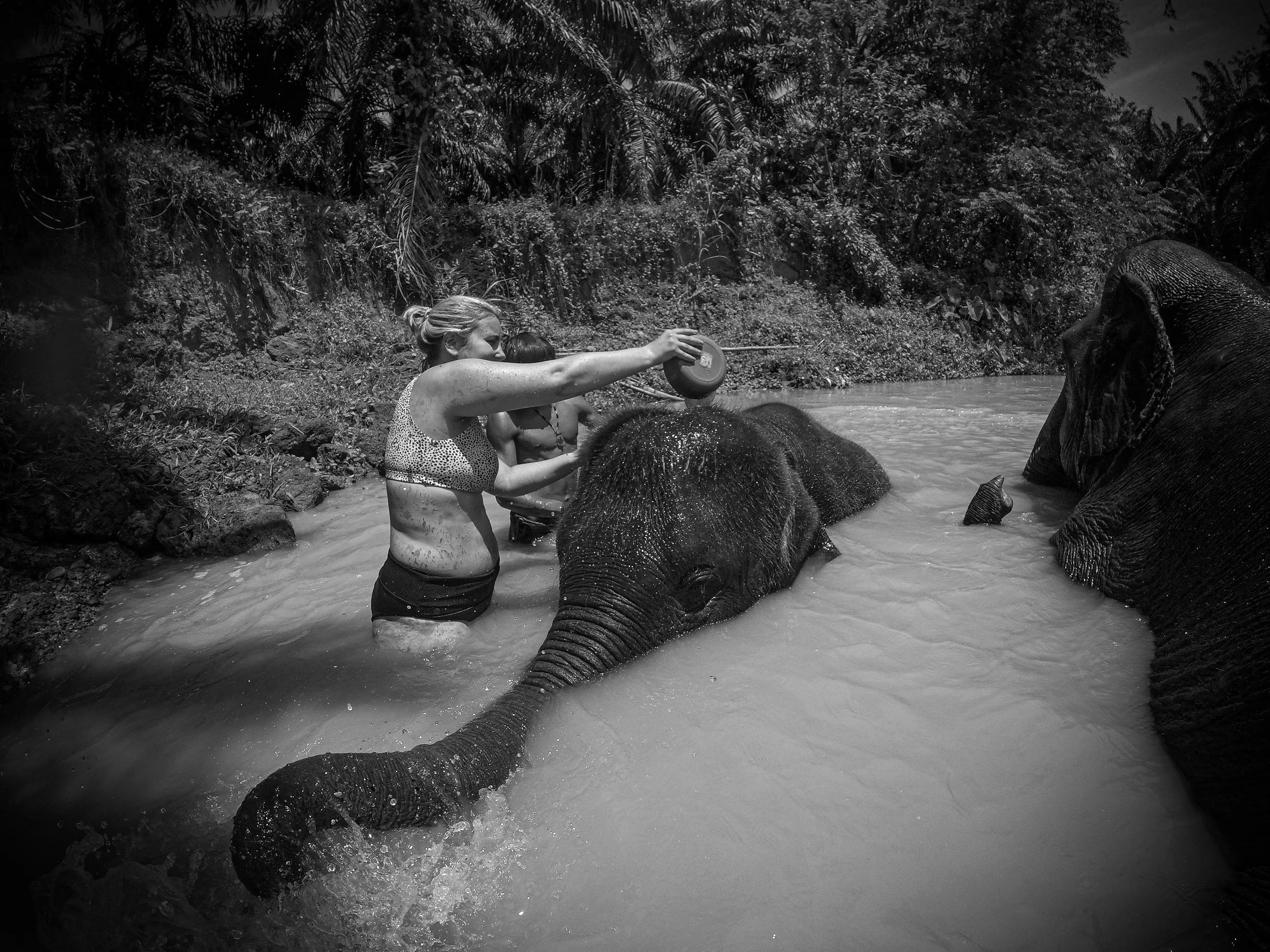 Two women bathing elephants in a river surrounded by dense jungle.