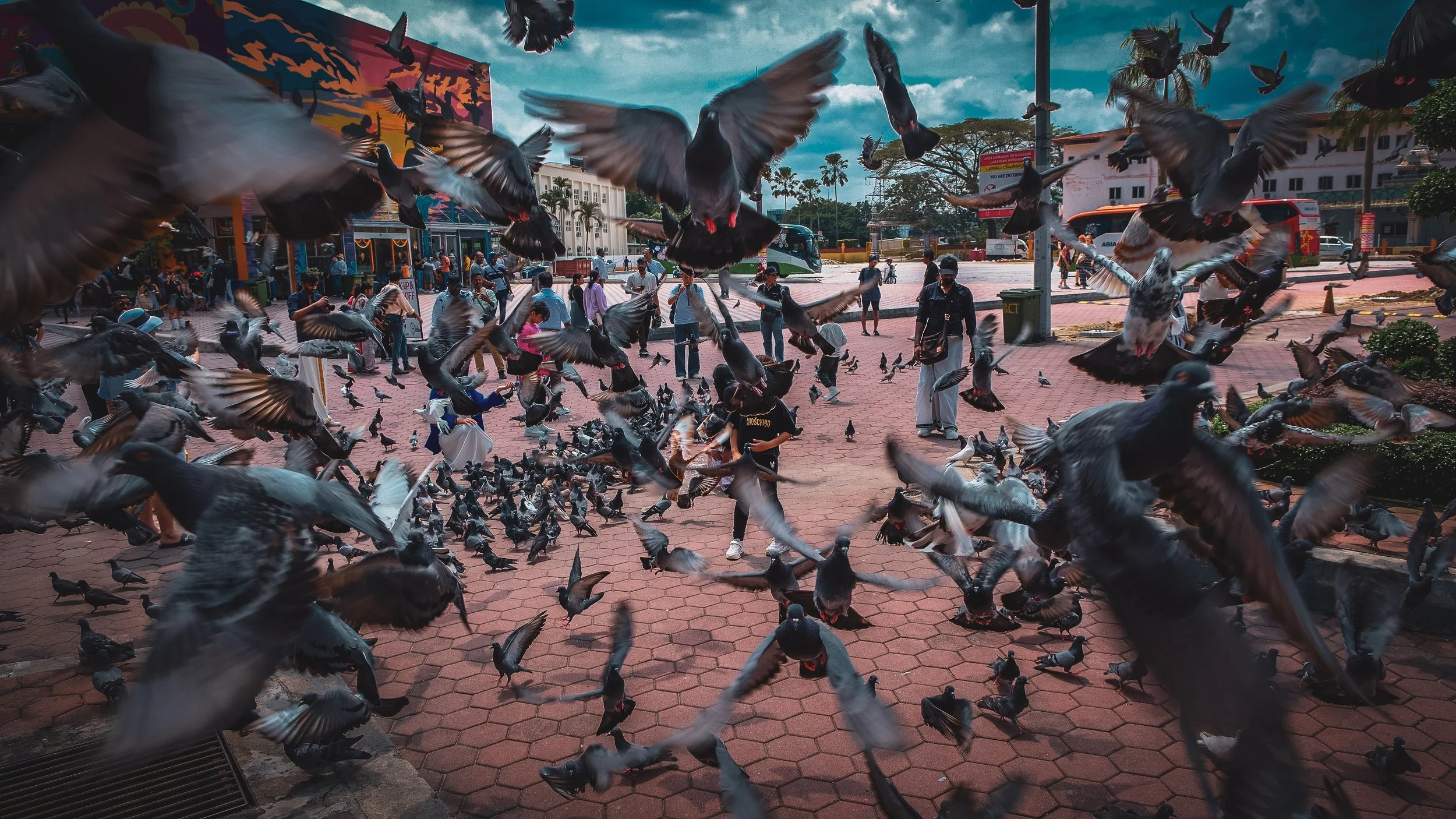 A busy urban scene with many pigeons flying and perched in a plaza, with people walking and shops in the background under a partly cloudy sky.