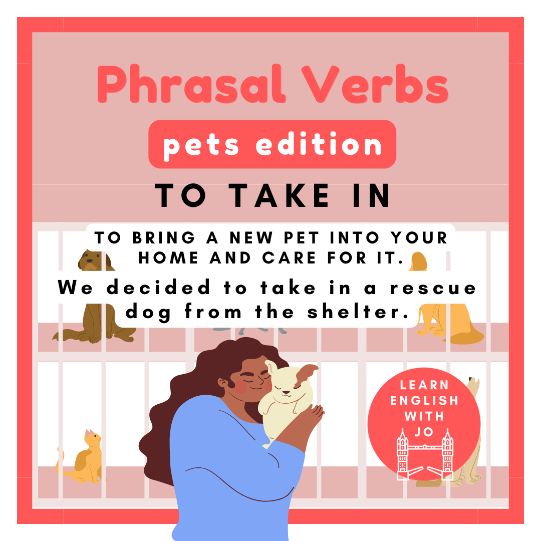 English phrasal verbs for talking about our pets.