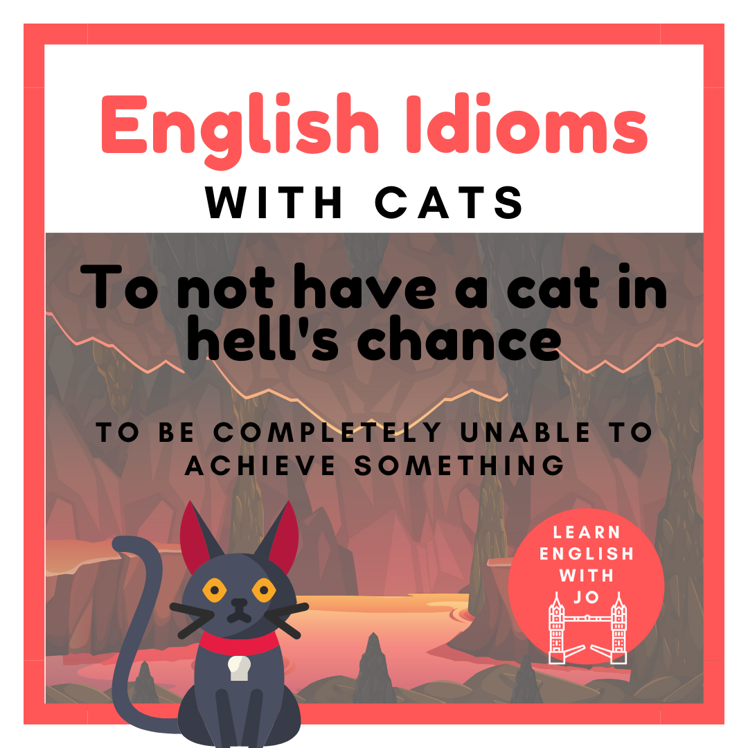 misshelen on X: Animal #idioms #cat #english #ingles #esl