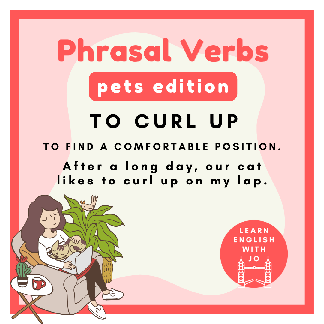 Definition And Examples Of Pet Phrases In English – KHLJE