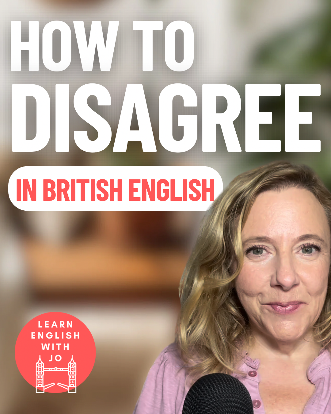How to Disagree Politely in British English