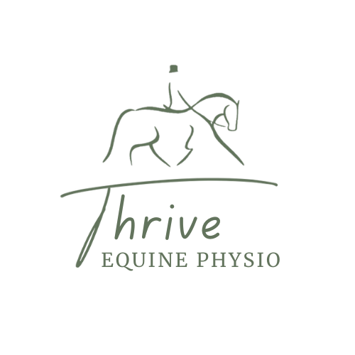 3 Variations of Hill Work Exercises for Horses of Every Level — Thrive