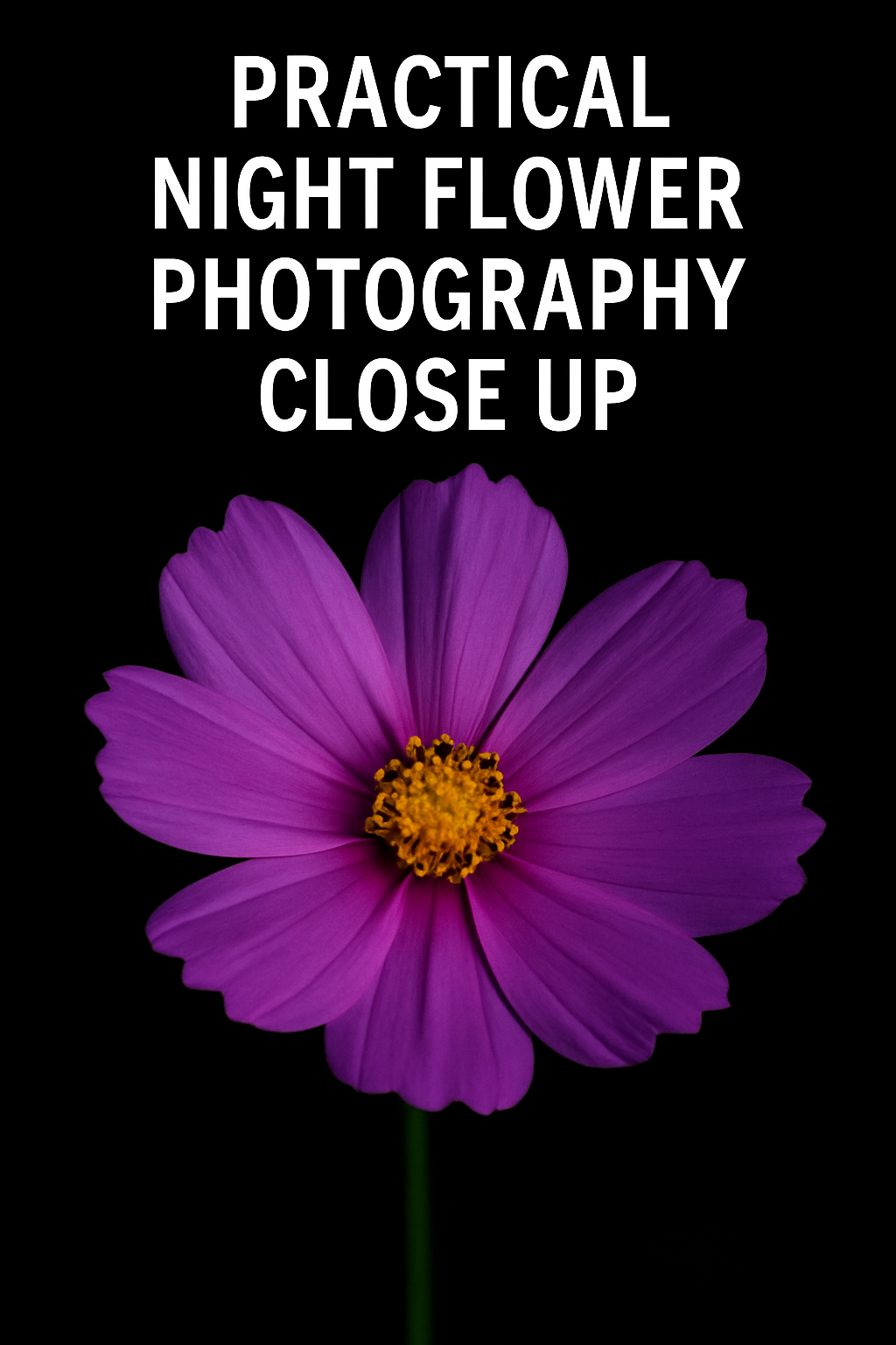 Practical night flower photography close up