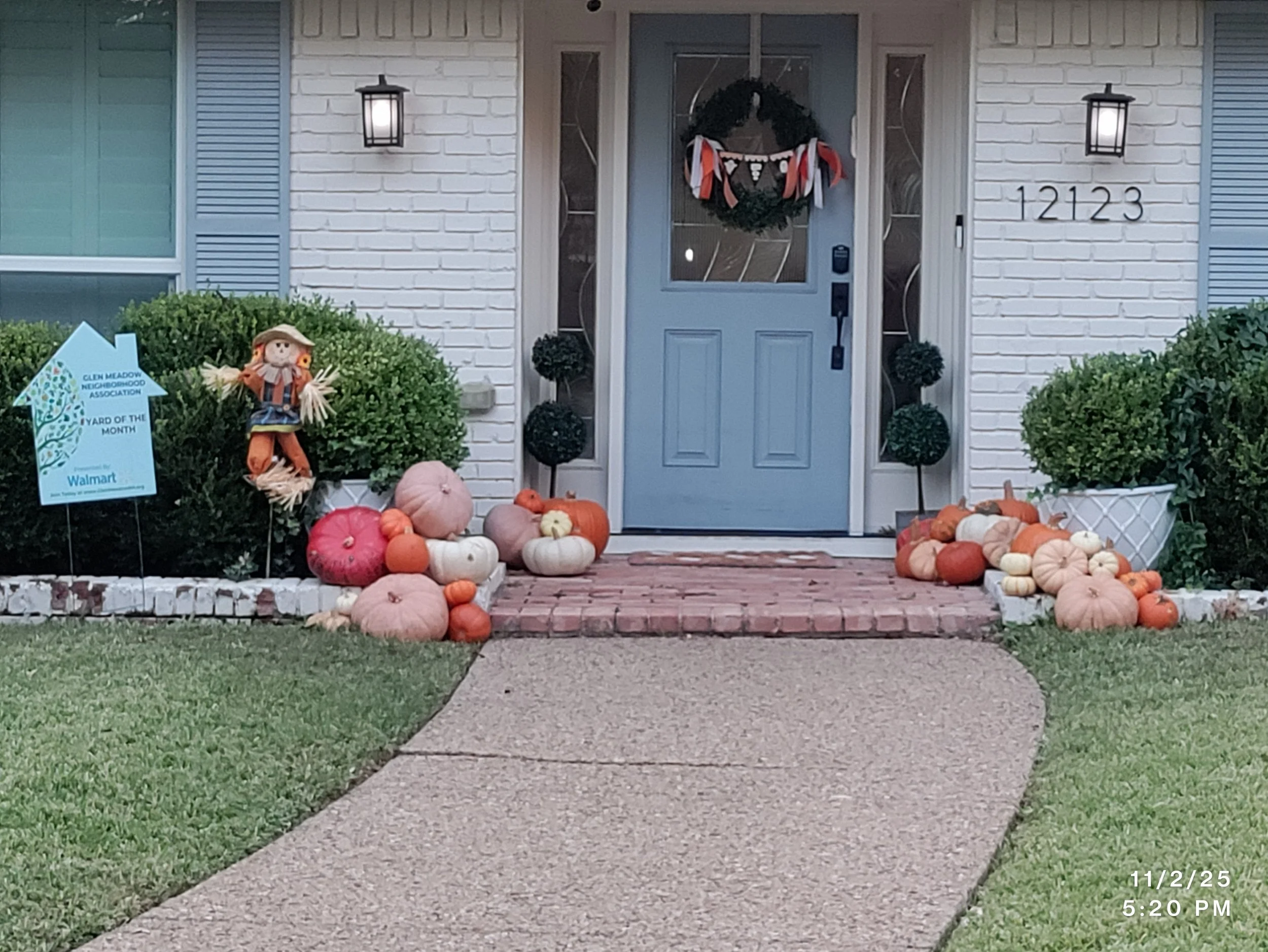 12123 Snow White-Nov 2025.jpg