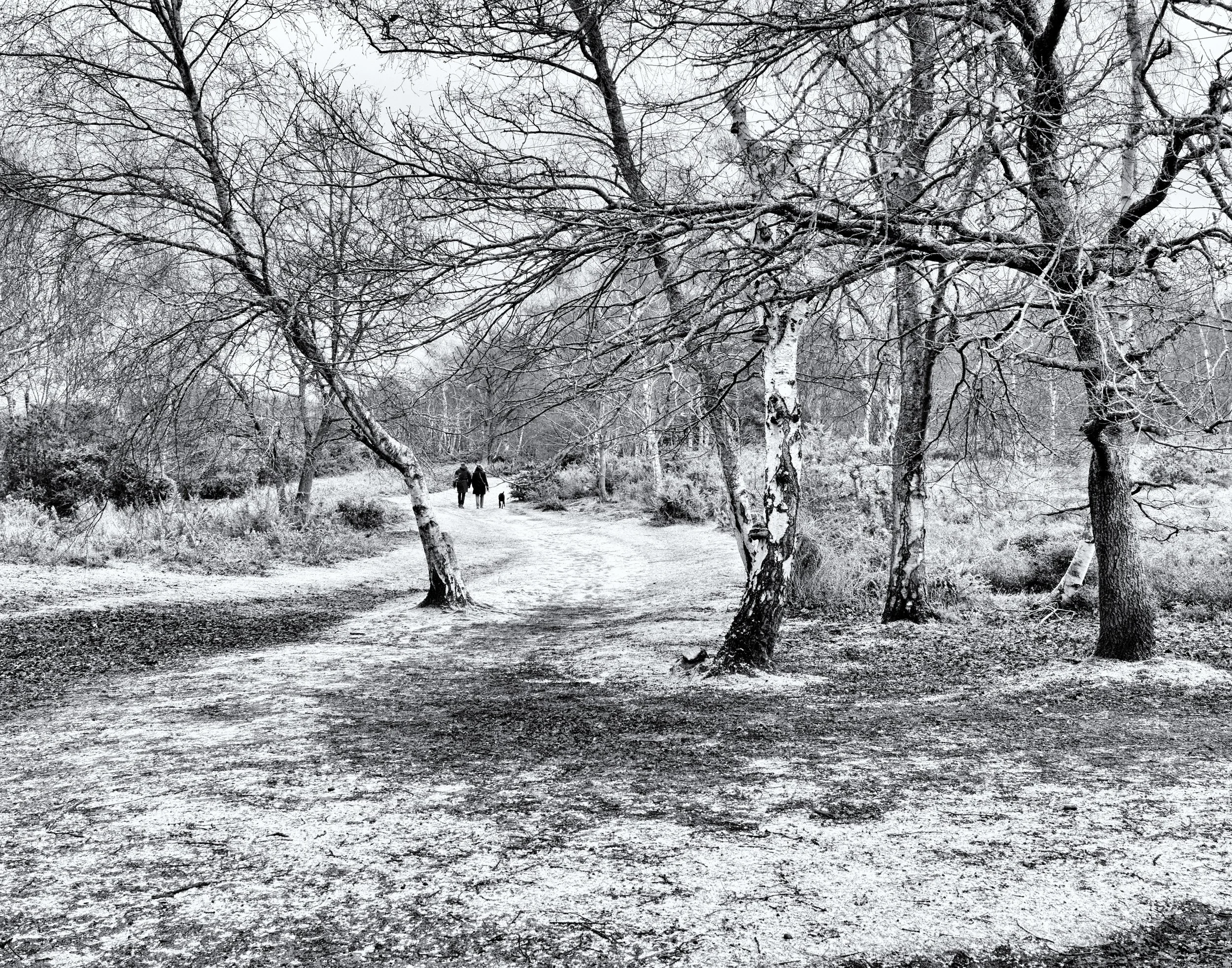 DSCF3786_Nik_DxO.jpg