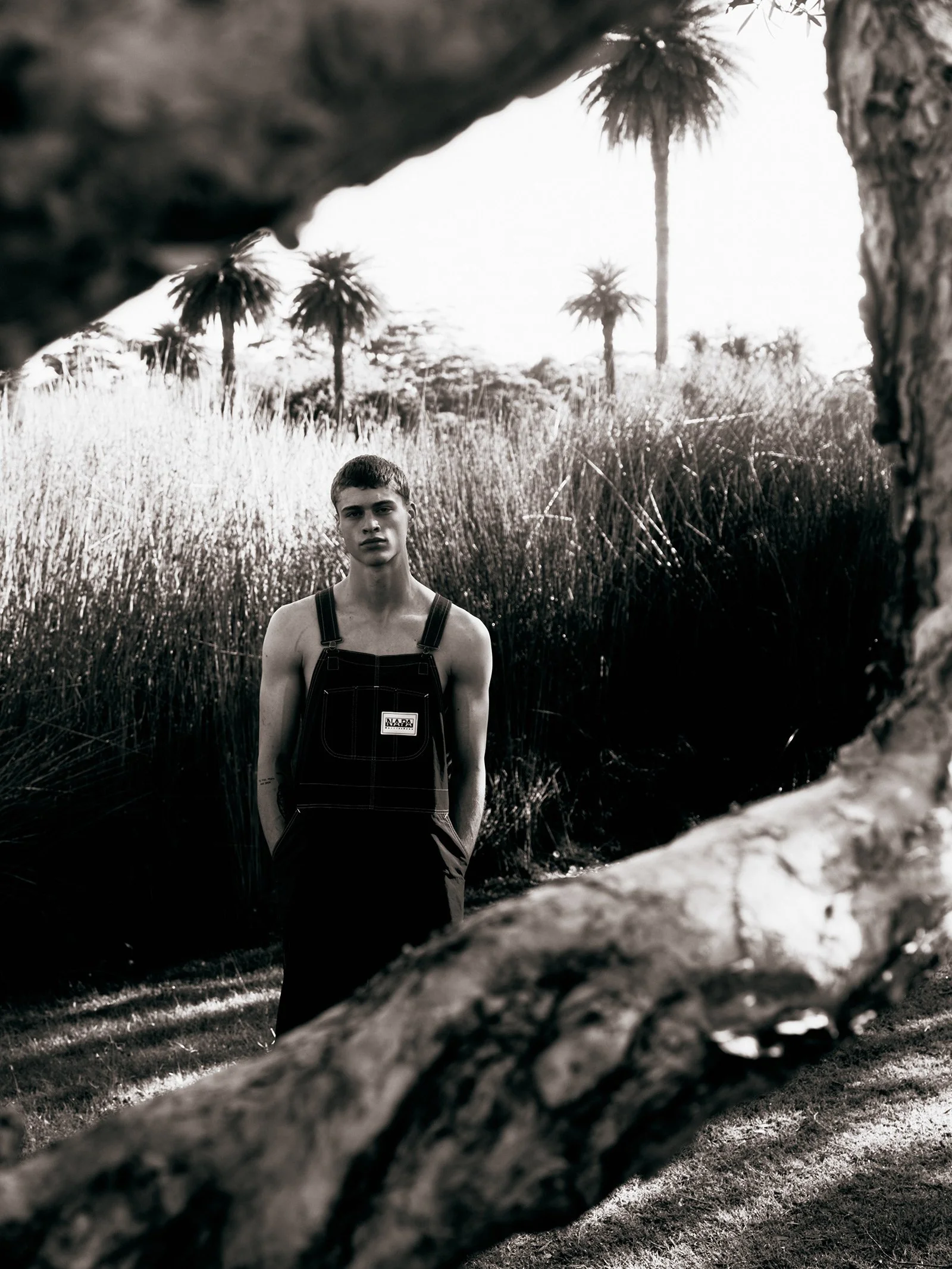 reilly_selects__22_07.jpg