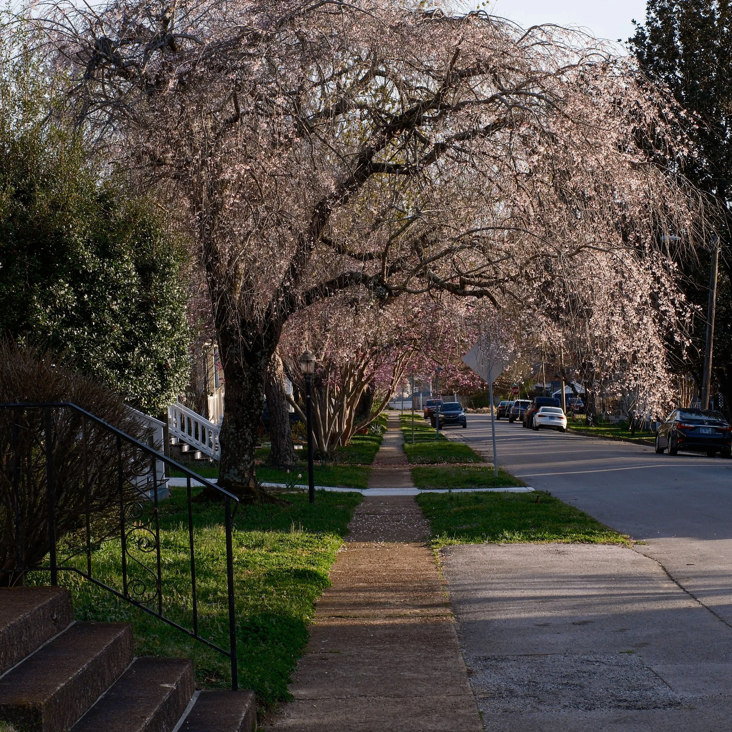 Spring events hosted by the Neighborhood Association