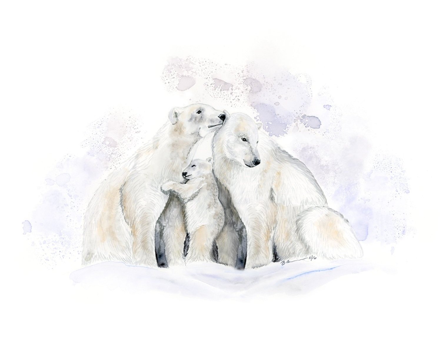 polarbear3new1500.jpg