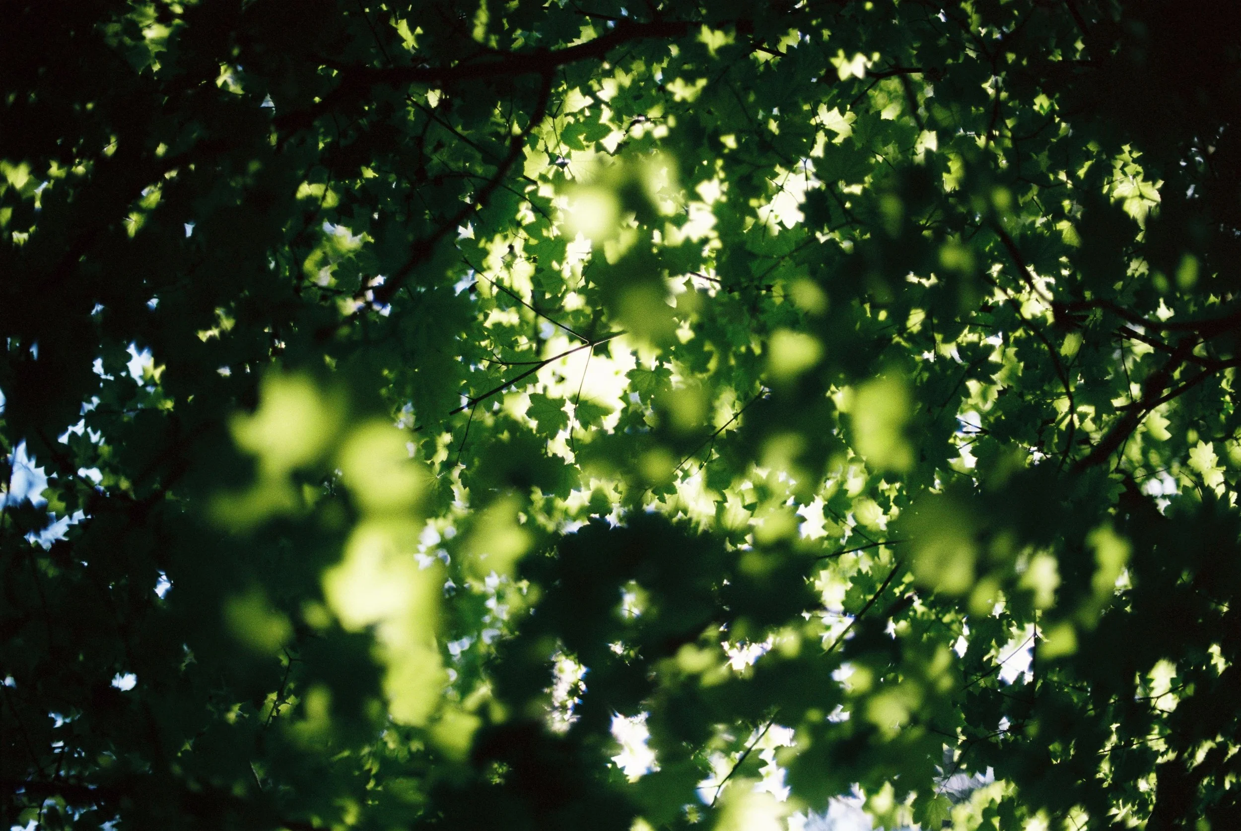 R1-09076-0000_0001.jpg