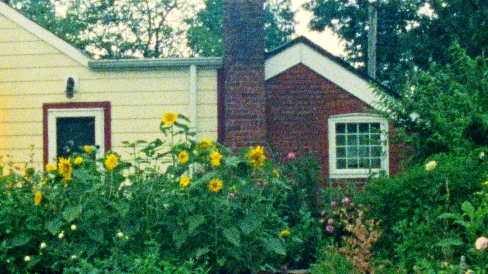 Somewhere in the Garden by Hotel TV